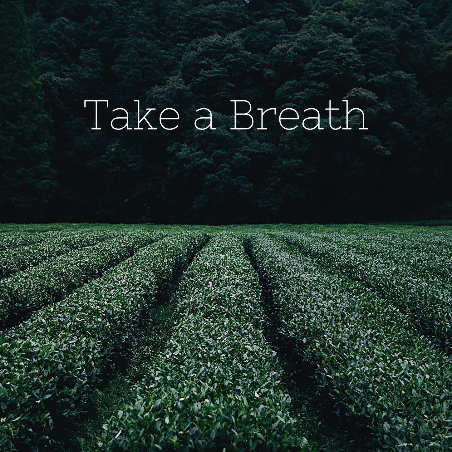 Релиз Take a Breath