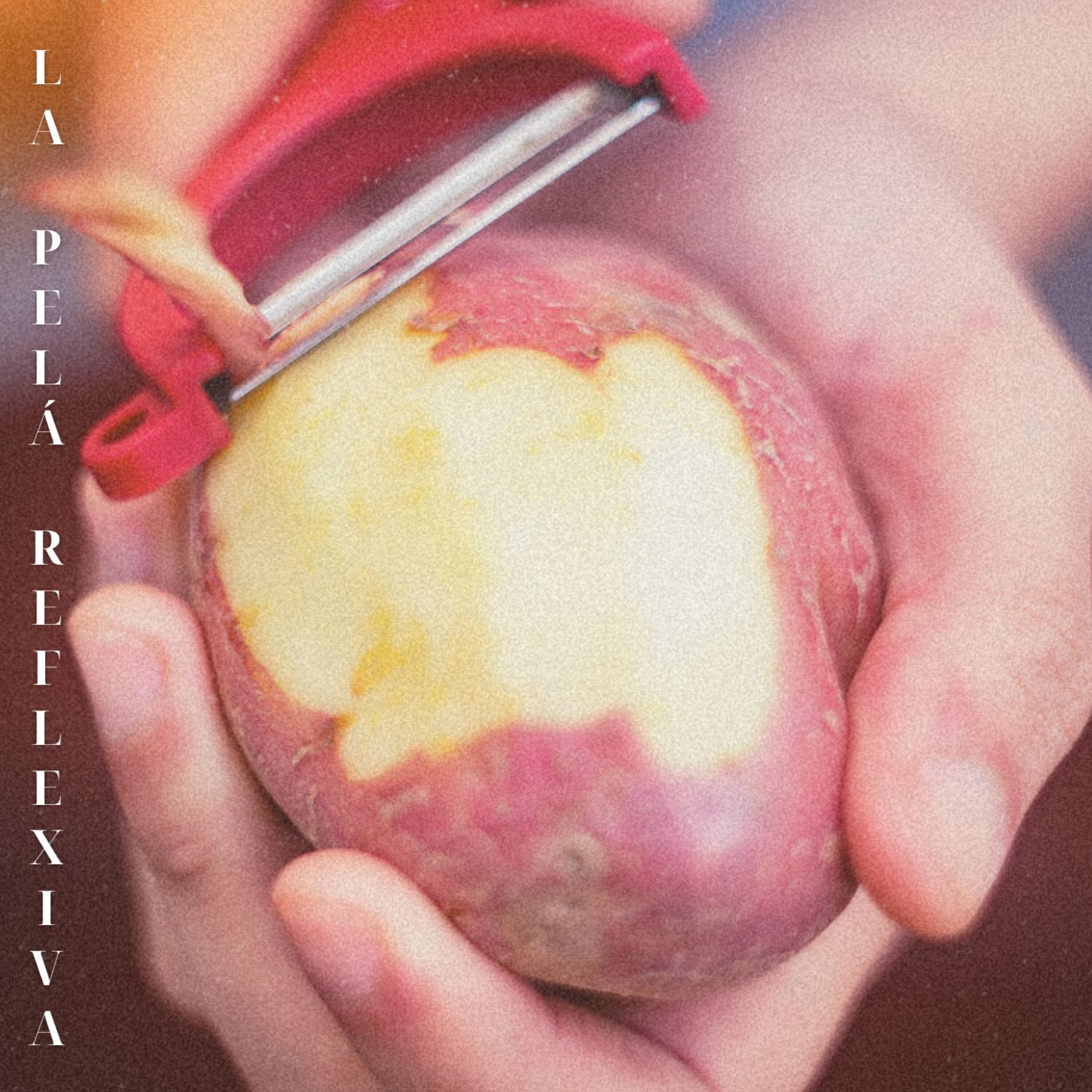 Релиз La Pelá Reflexiva