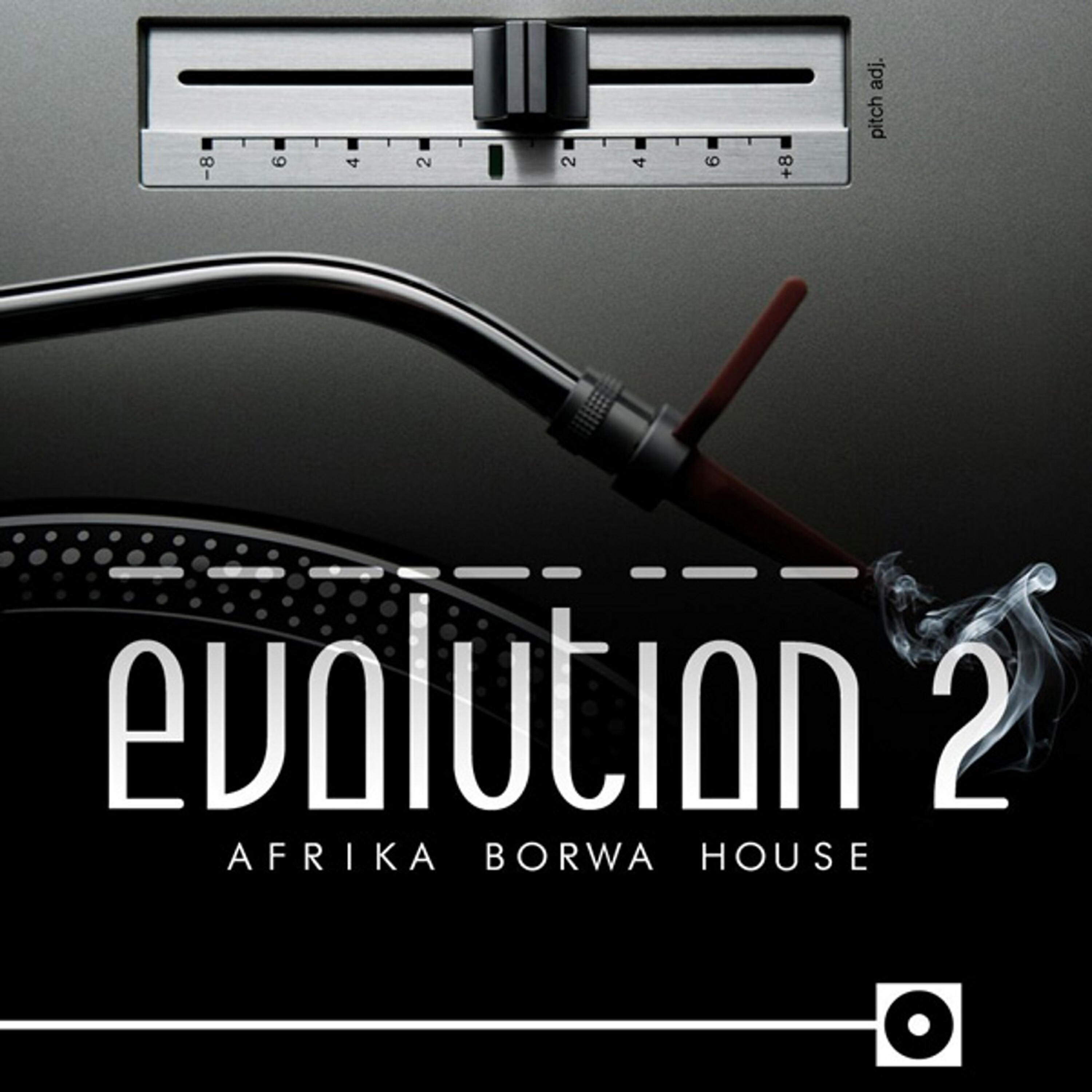 Постер альбома Evolution 2