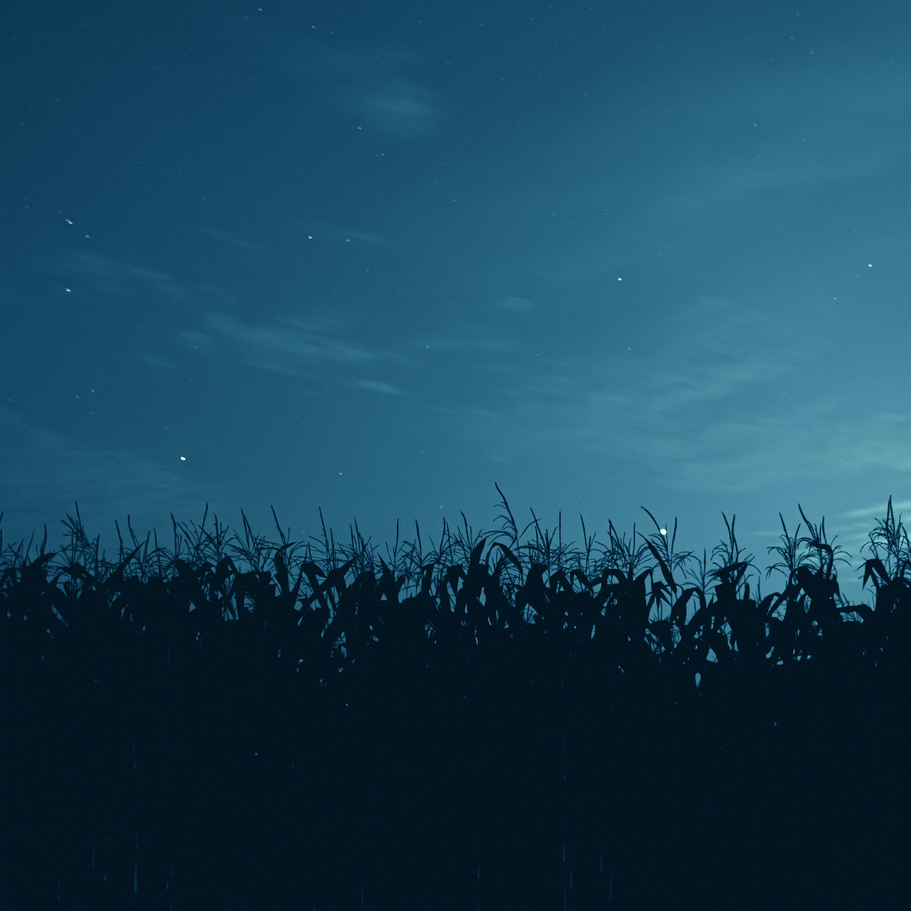 Релиз watching the stars