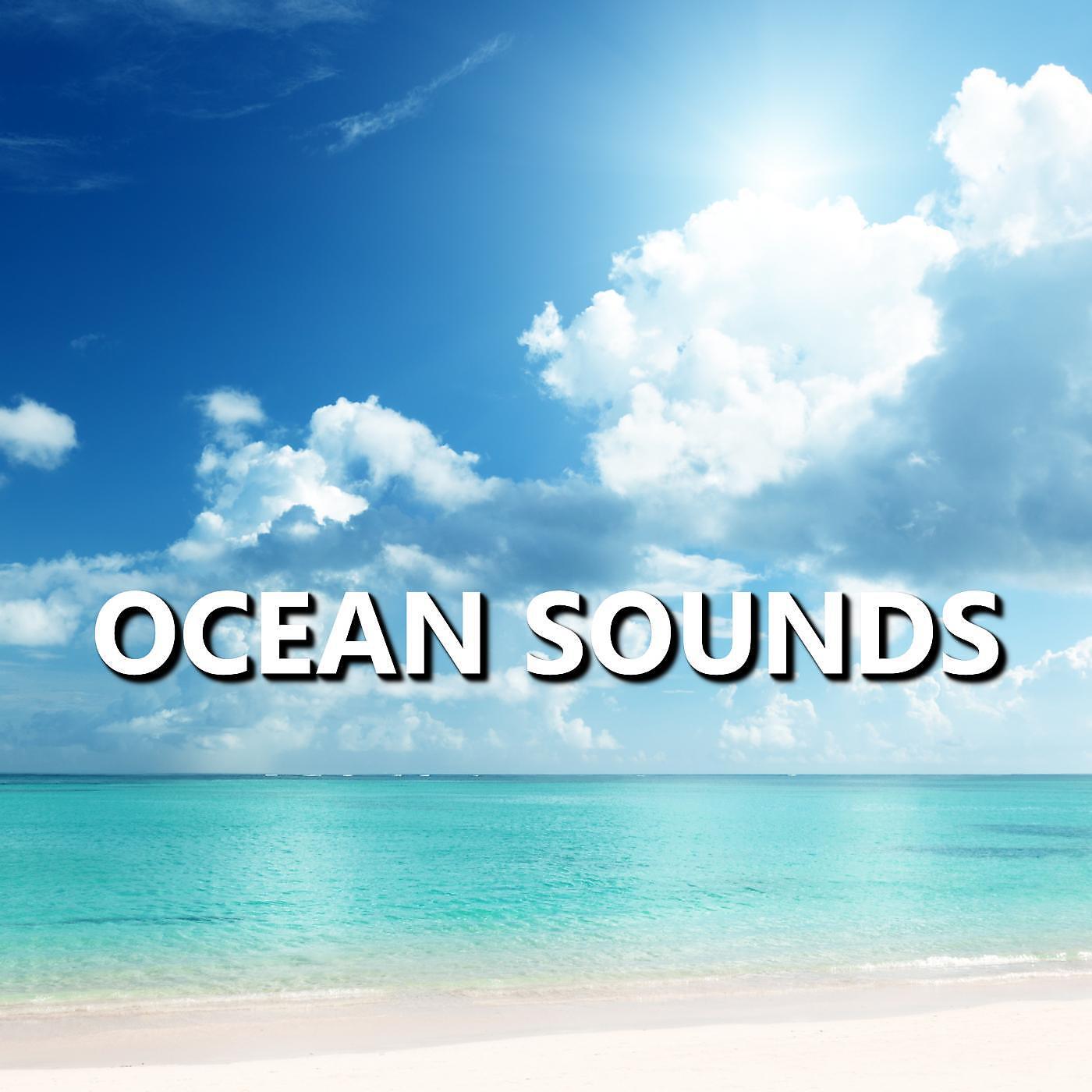 Постер альбома Ocean Sounds