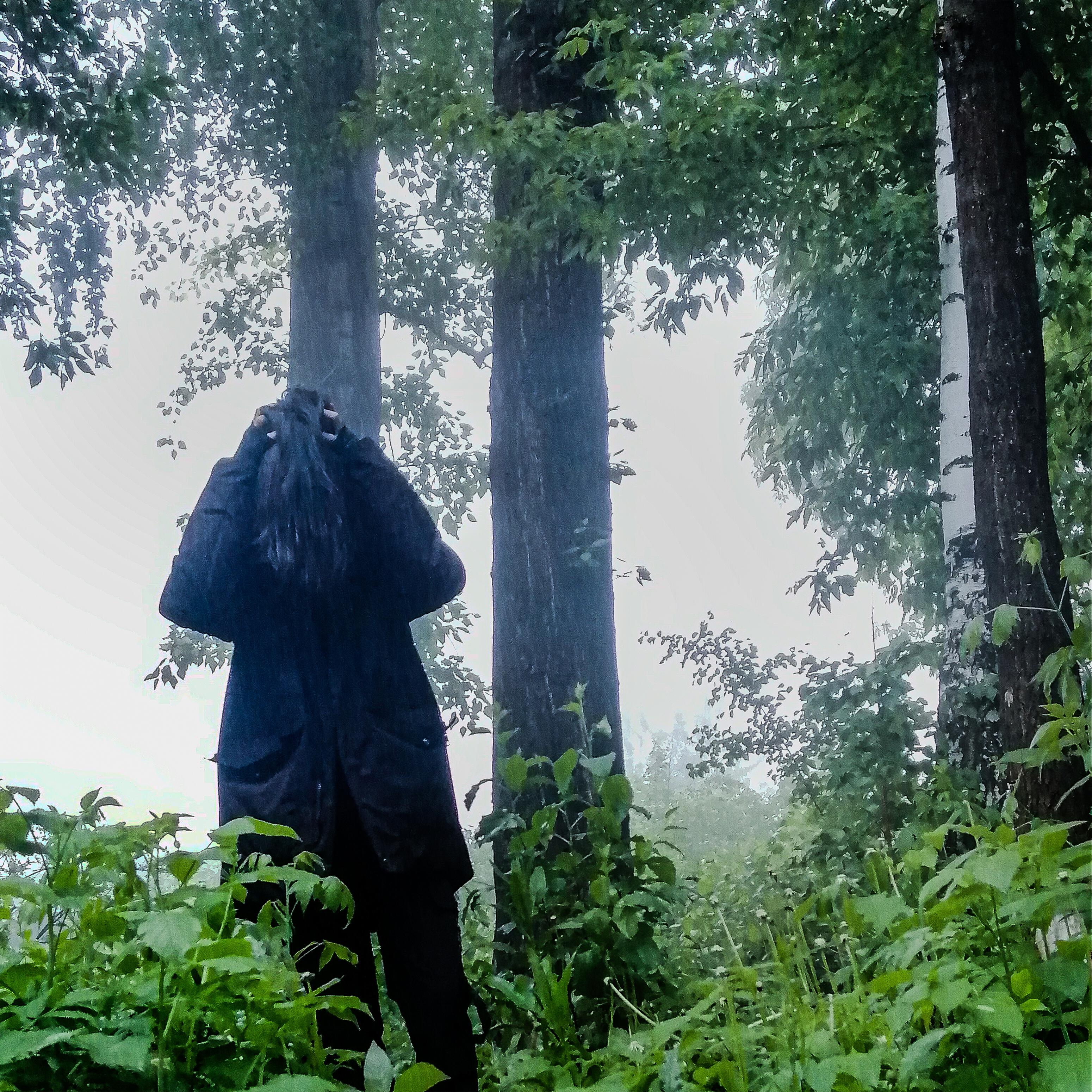 Постер альбома forsaken fog