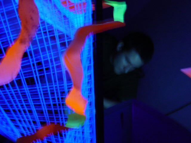 Holocaos