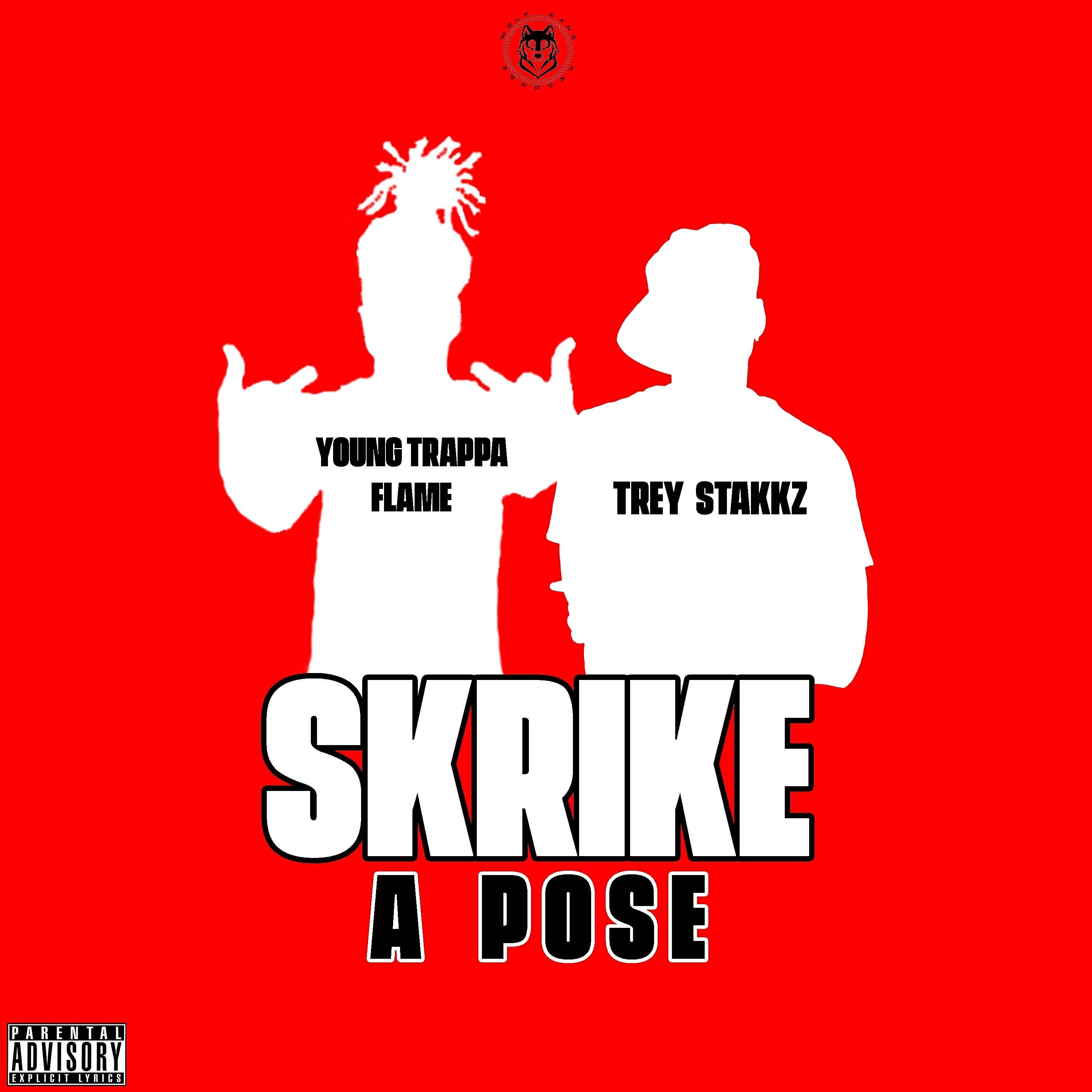 Релиз Skrike a Pose