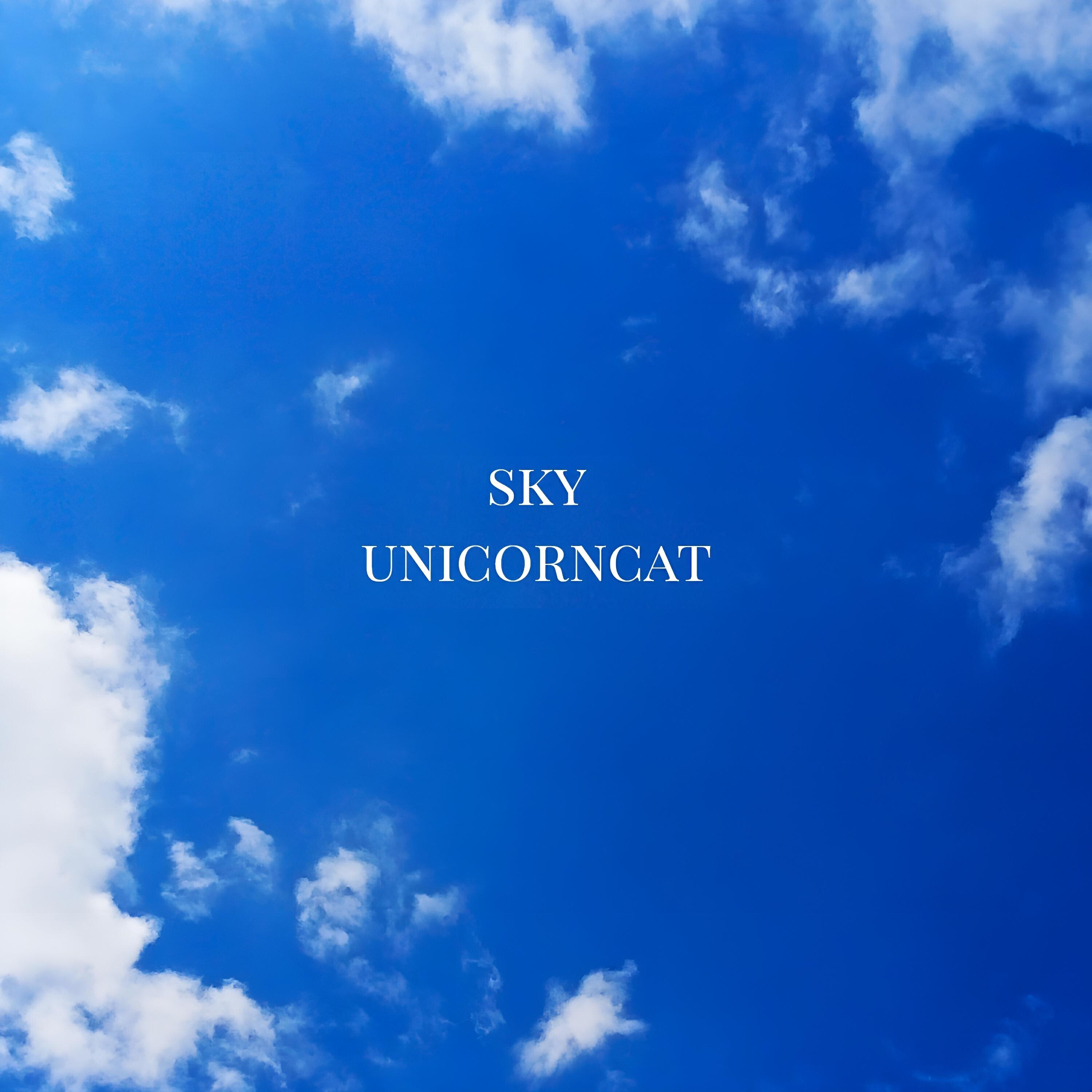 Релиз Sky