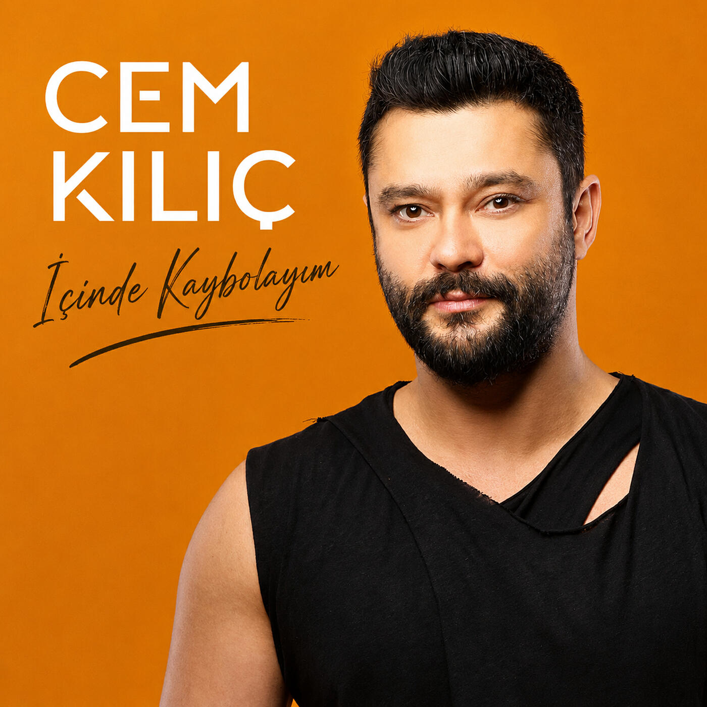 Релиз İçinde Kaybolayım