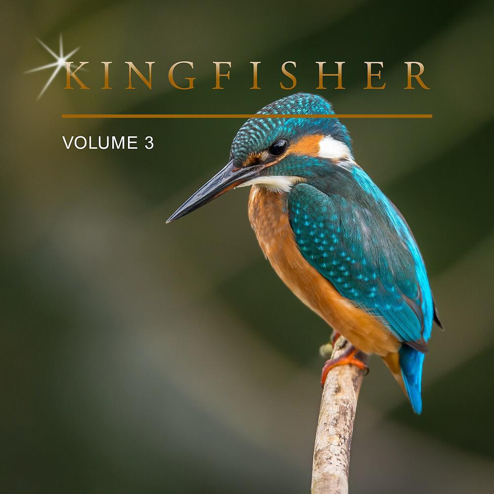 Релиз Kingfisher, Vol. 3