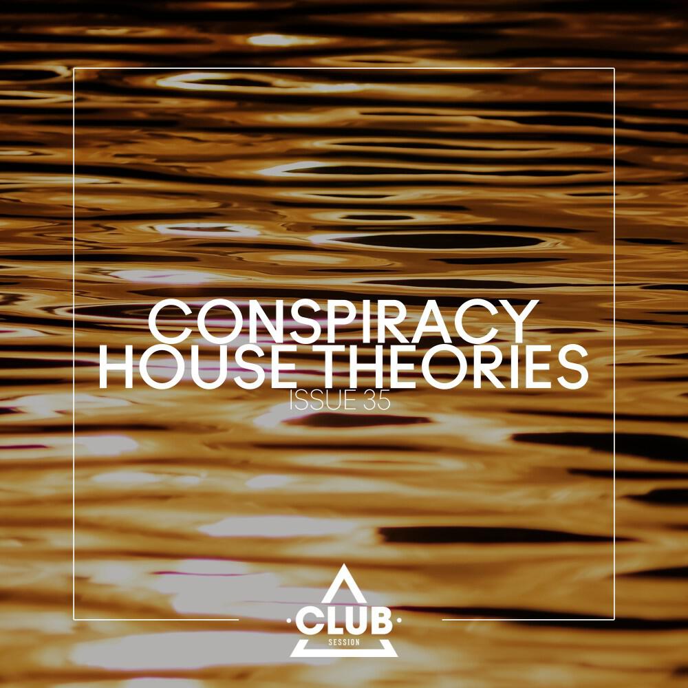 Релиз Conspiracy House Theories, Issue 35