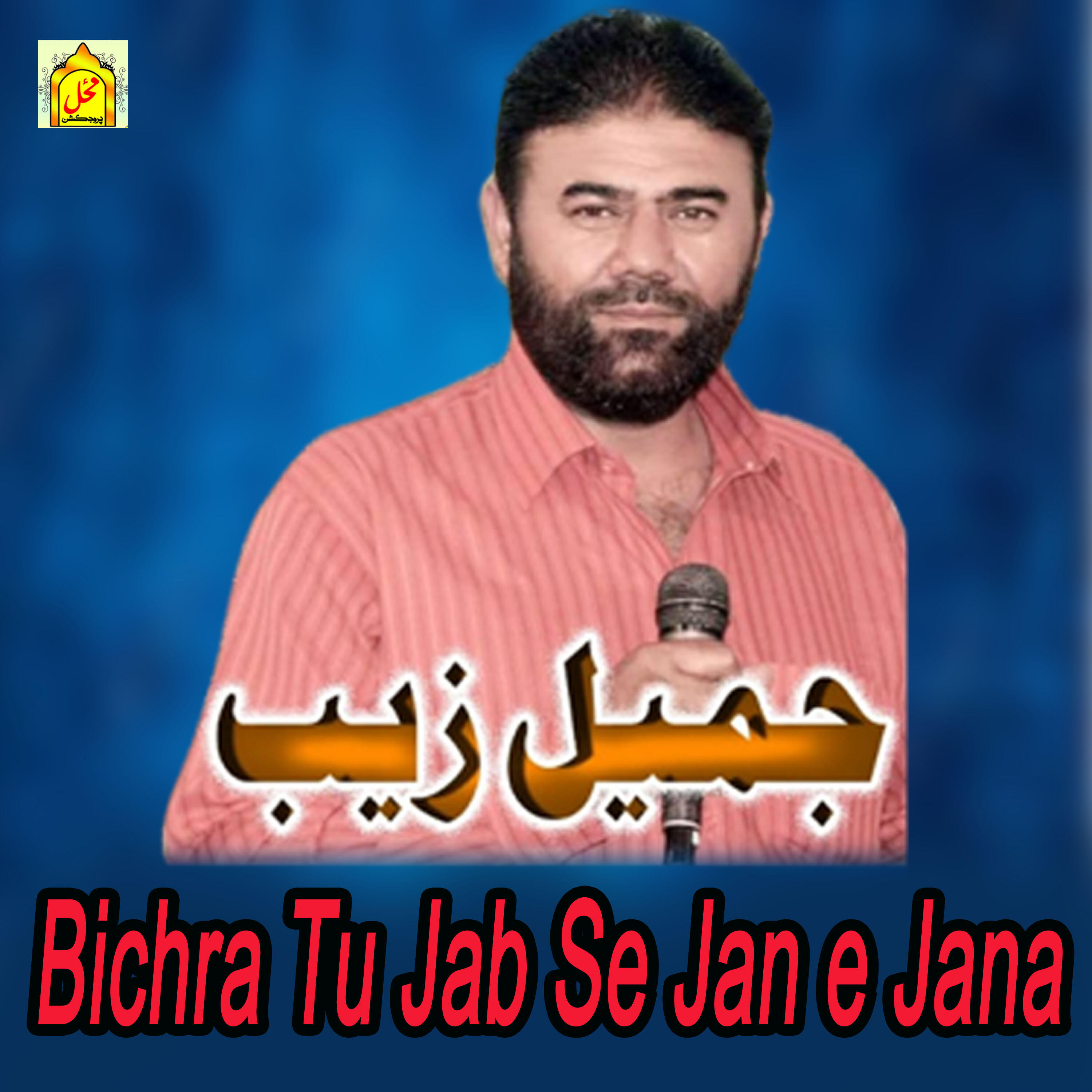 Релиз Bichra Tu Jab Se Jan e Jana