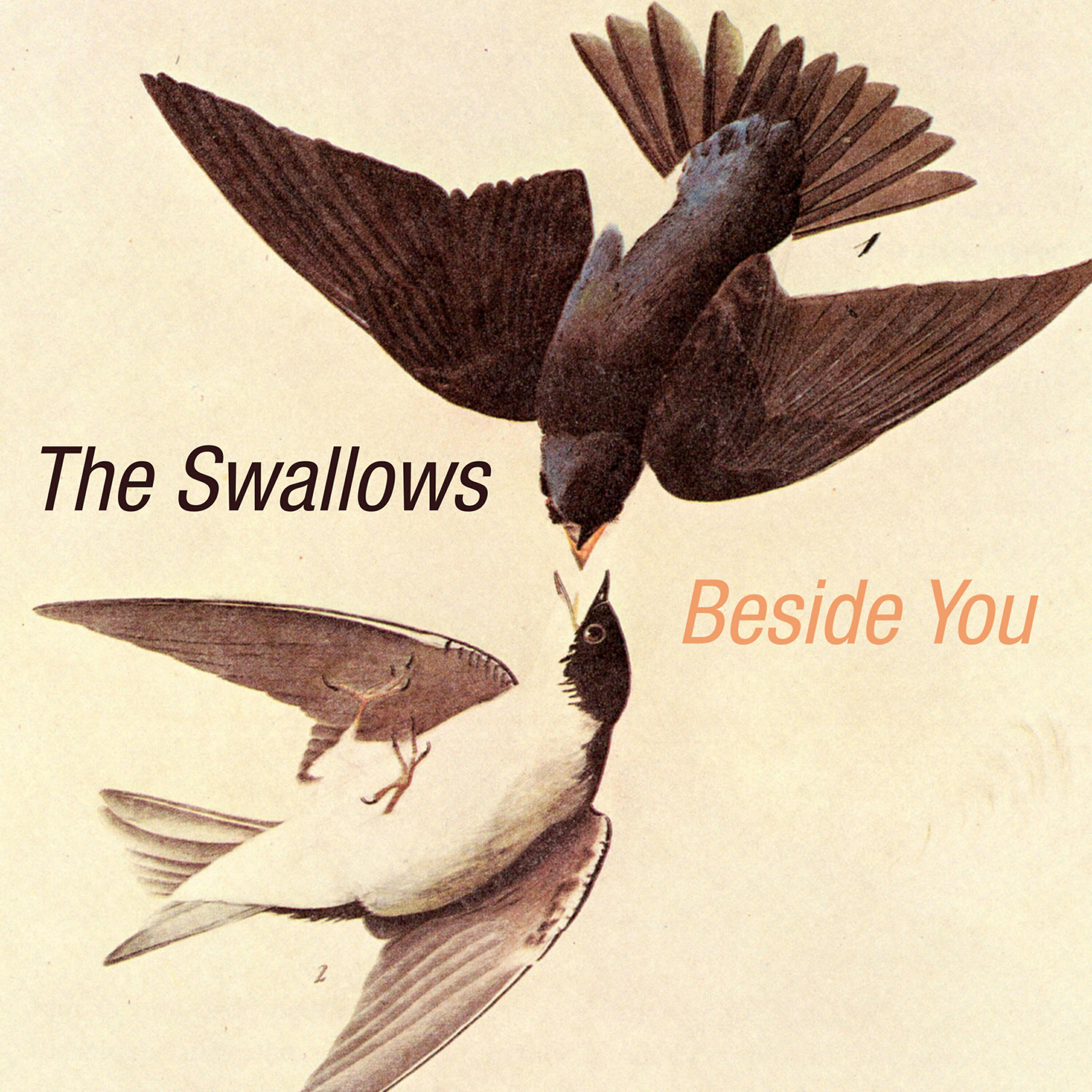 Релиз Beside You