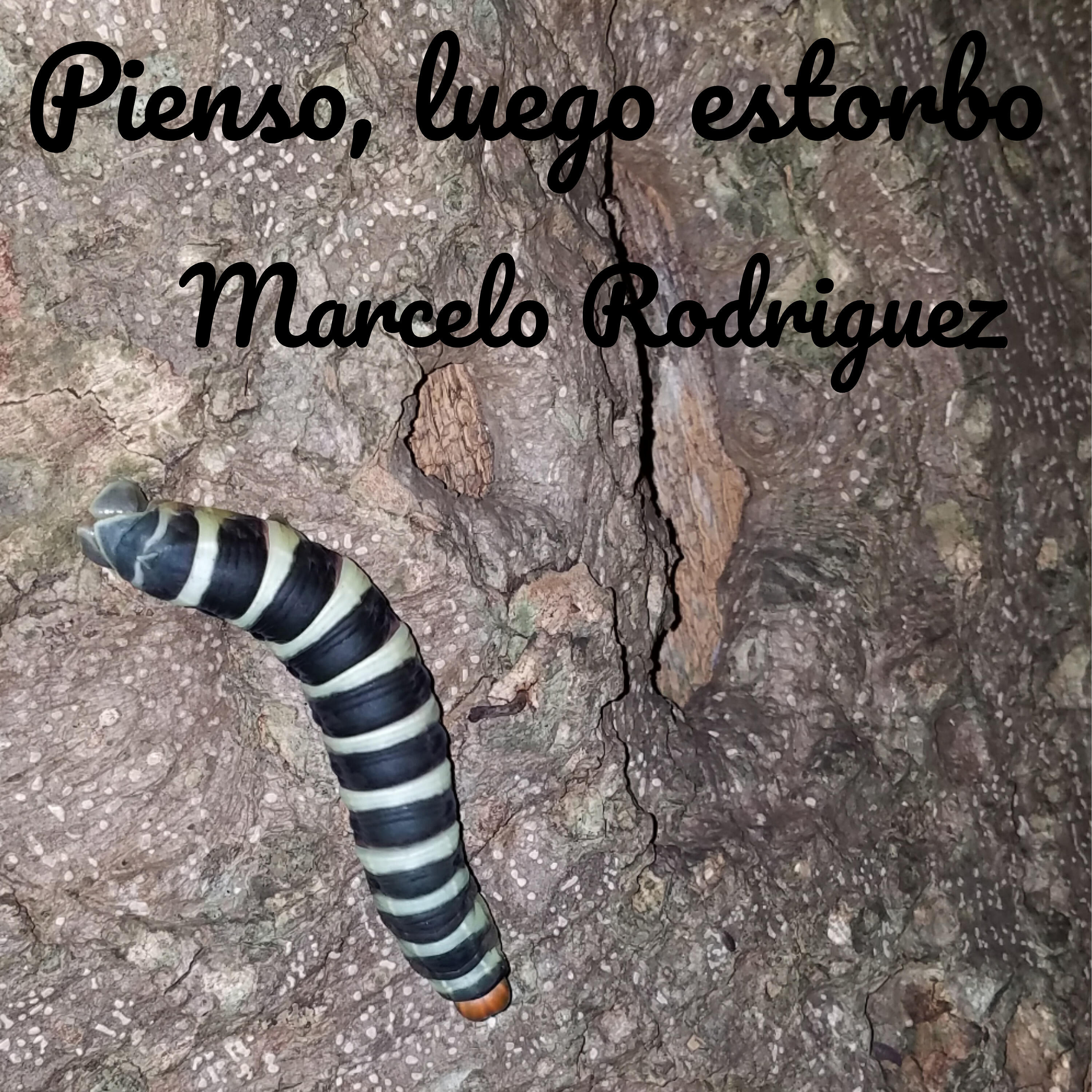 Релиз Pienso, Luego Estorbo