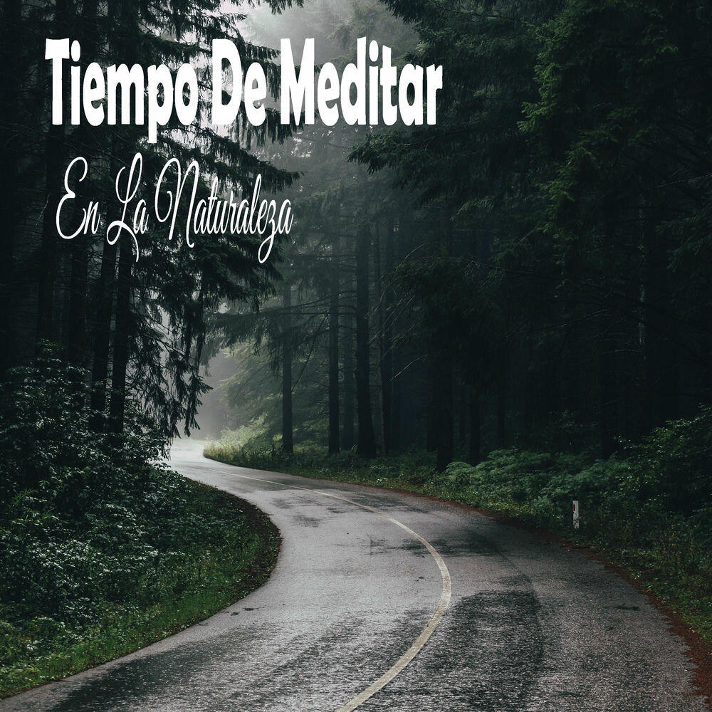 Релиз Tiempo De Meditar En La Naturaleza
