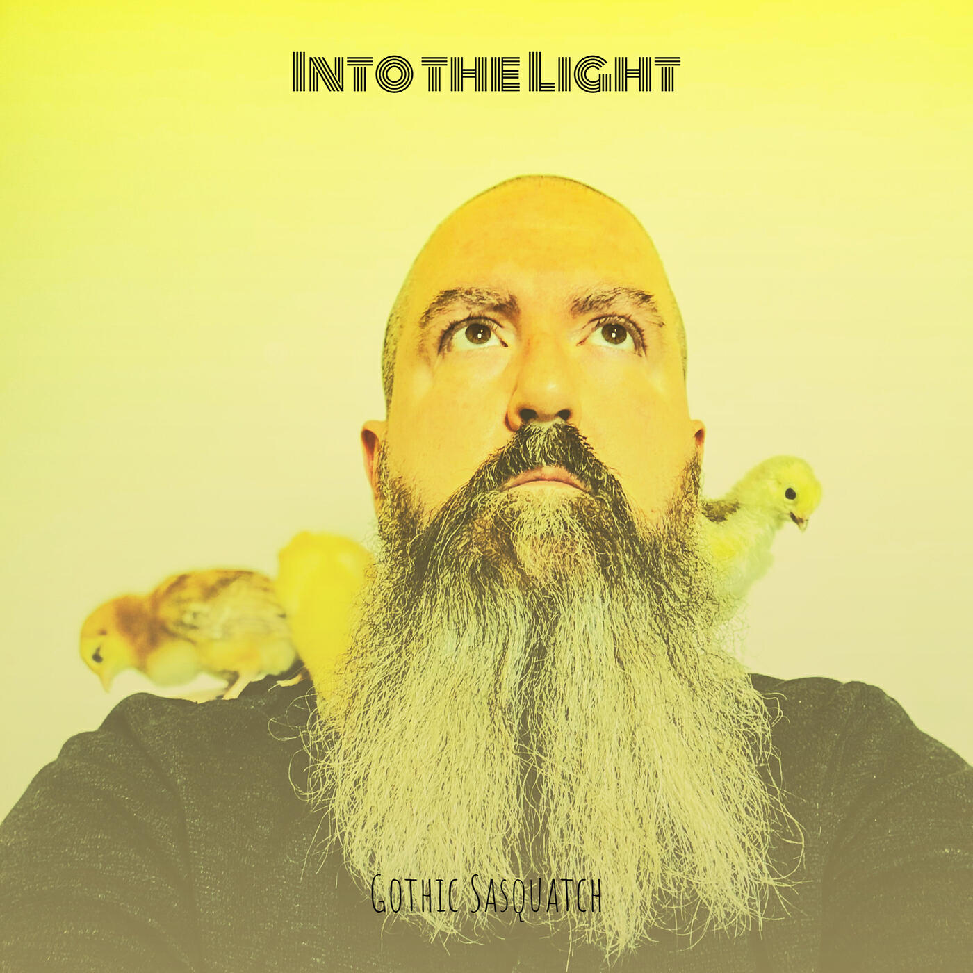 Постер альбома Into the Light