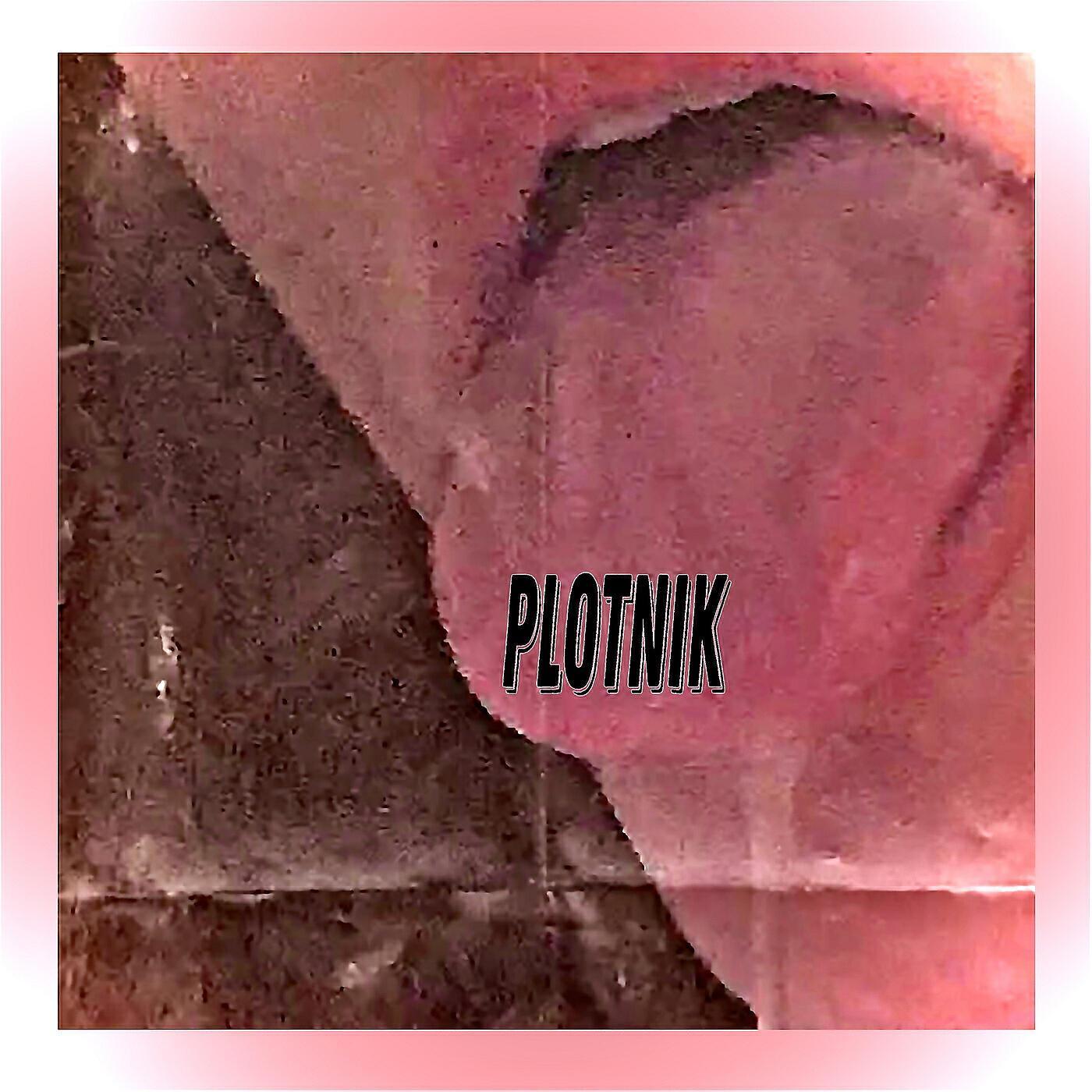 Plotnik