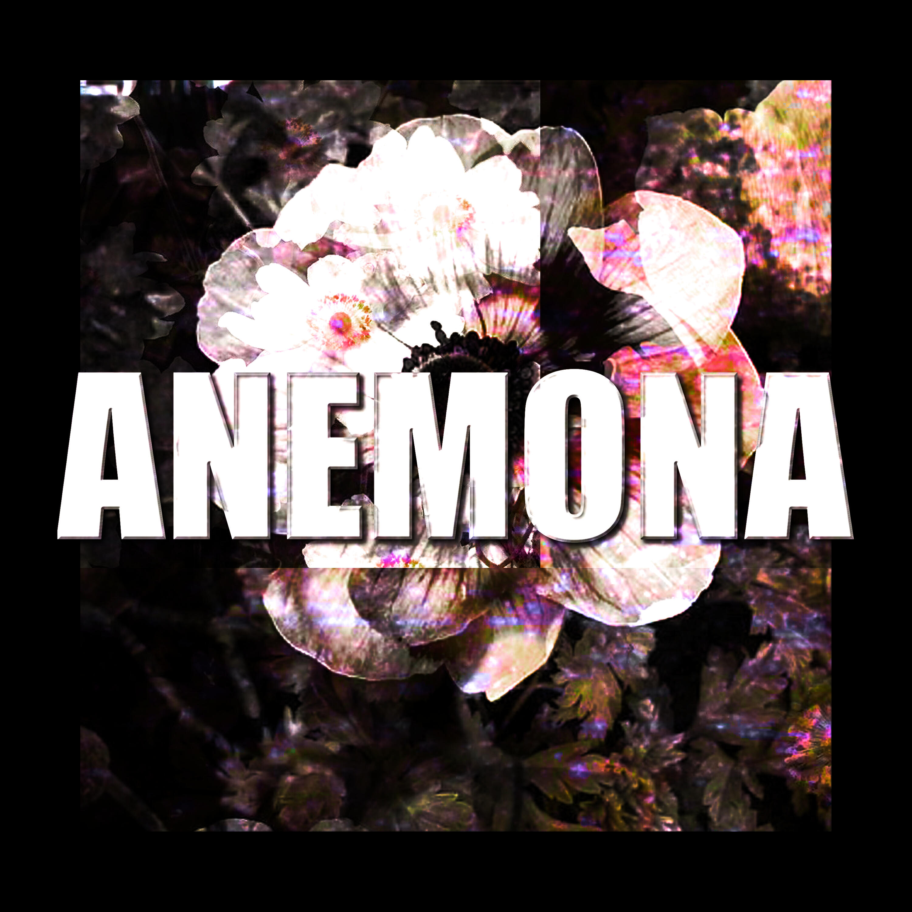 Релиз anemona