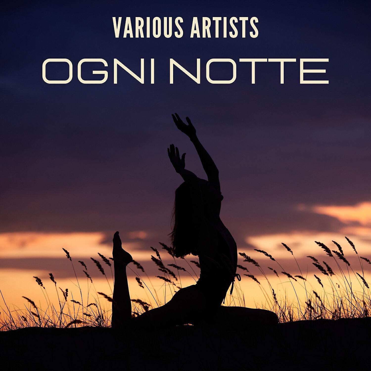 Постер альбома Ogni notte