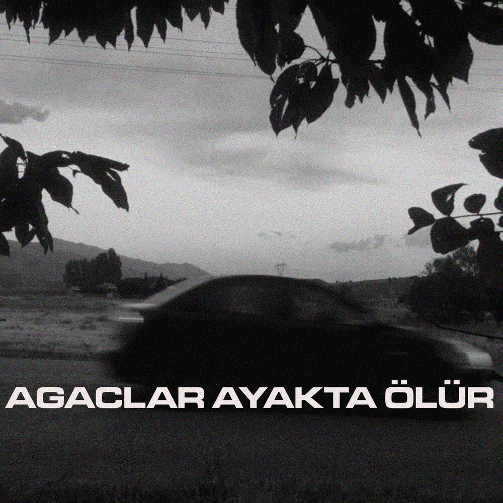 Релиз AĞAÇLAR AYAKTA ÖLÜR