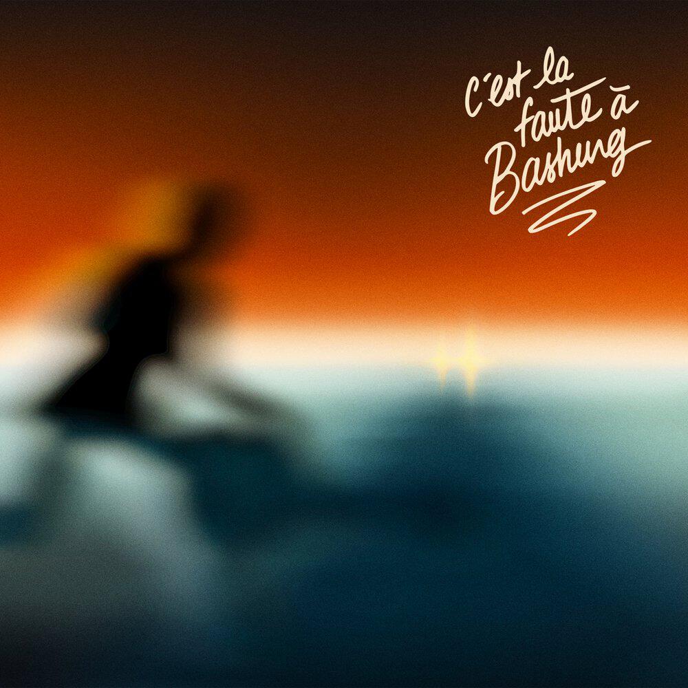 C'est la faute à Bashung