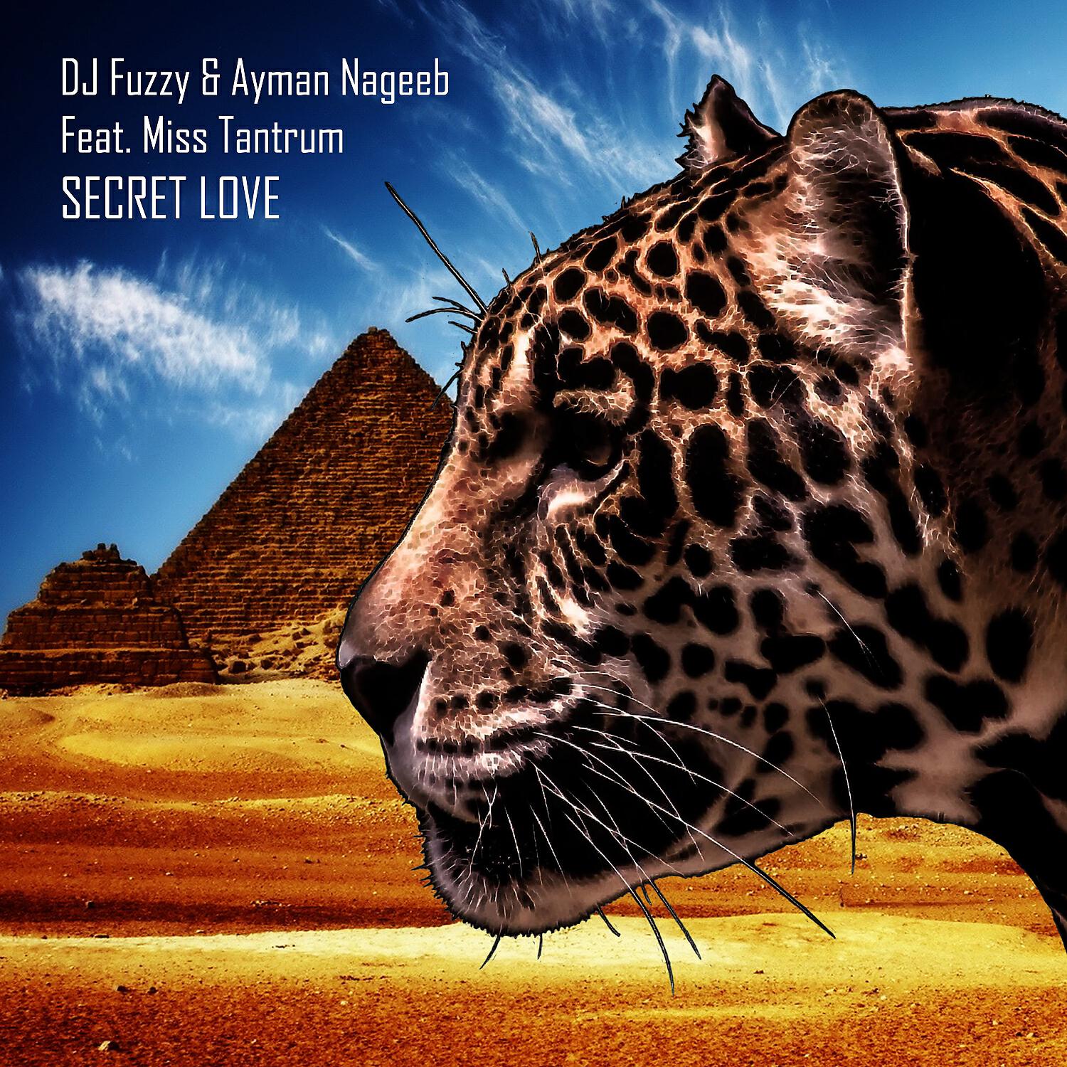 Релиз Secret Love