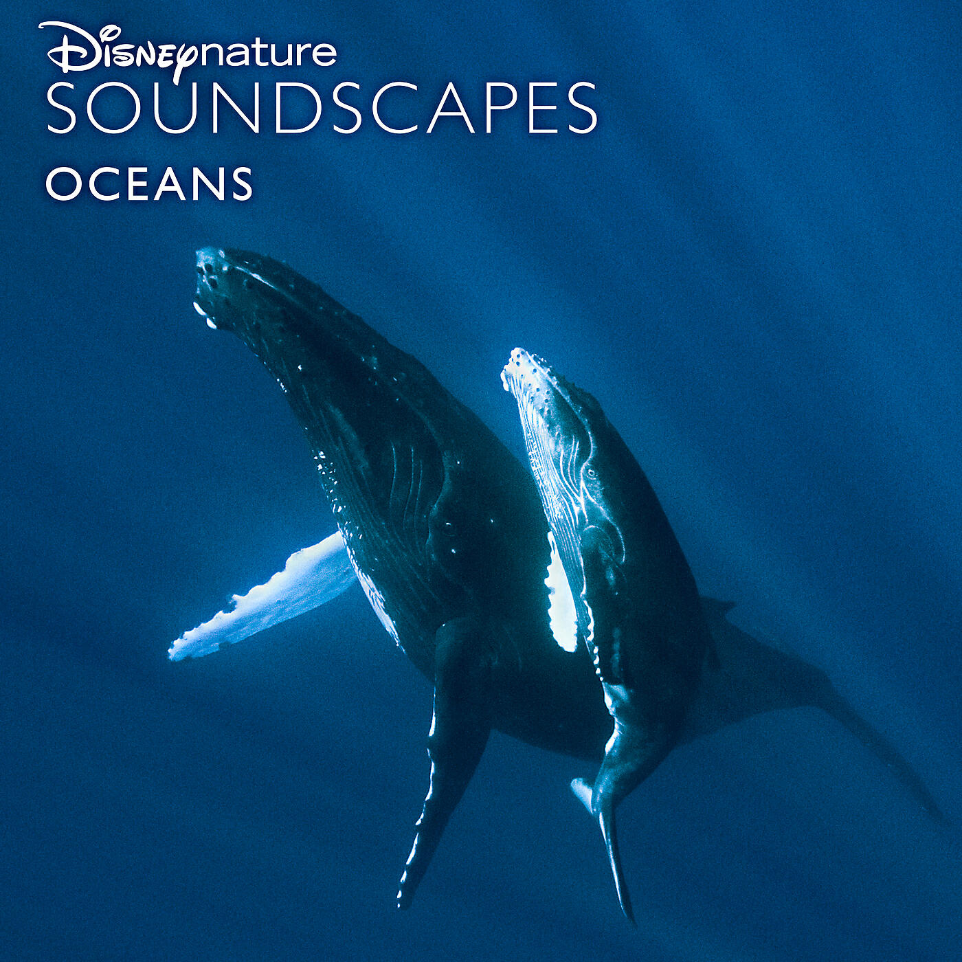 Релиз Disneynature Soundscapes: Oceans