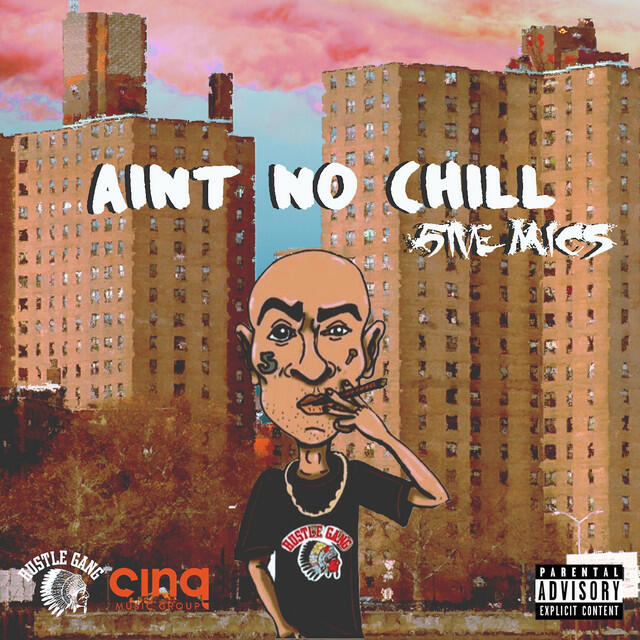 Релиз Aint No Chill (LP Explicit)