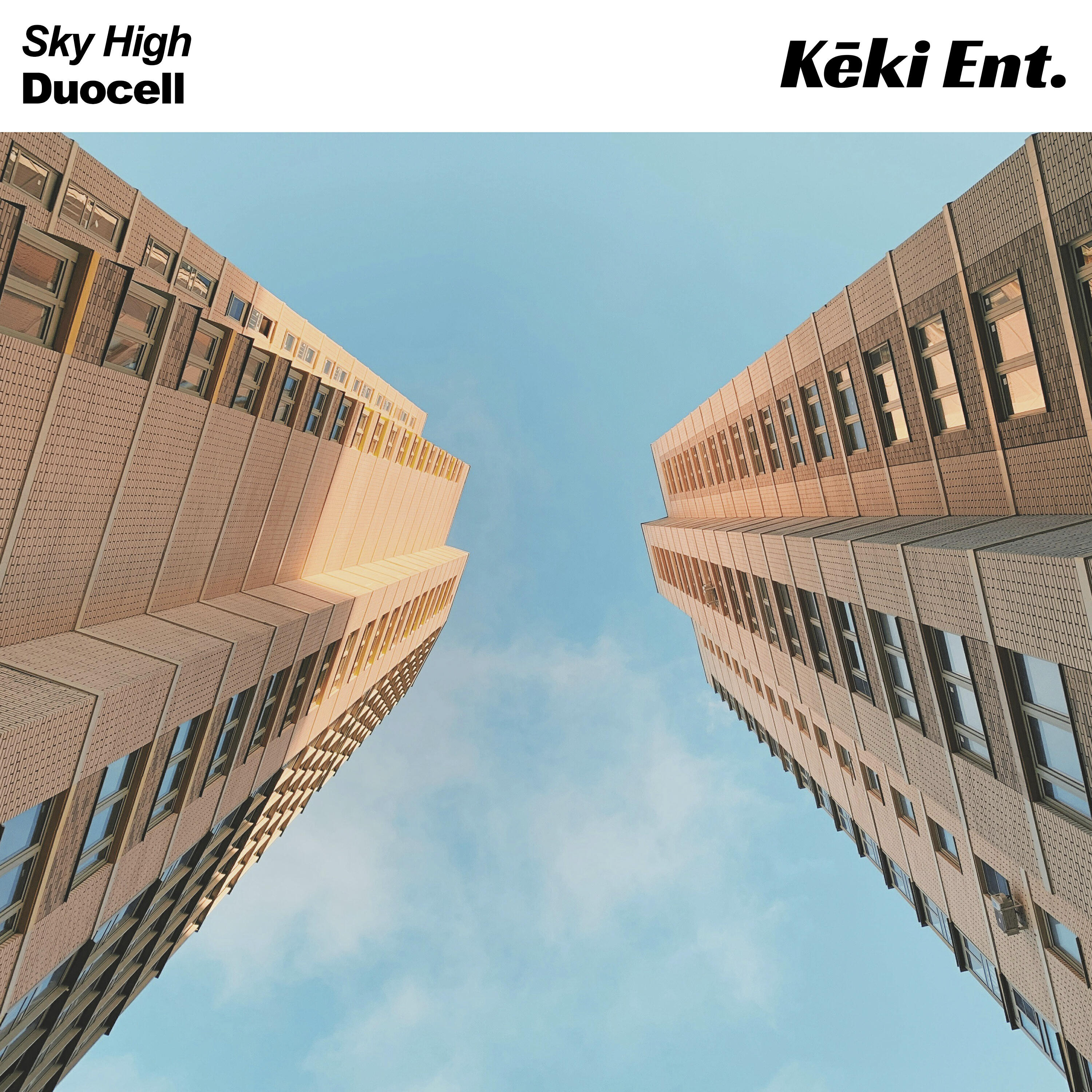 Релиз Sky High