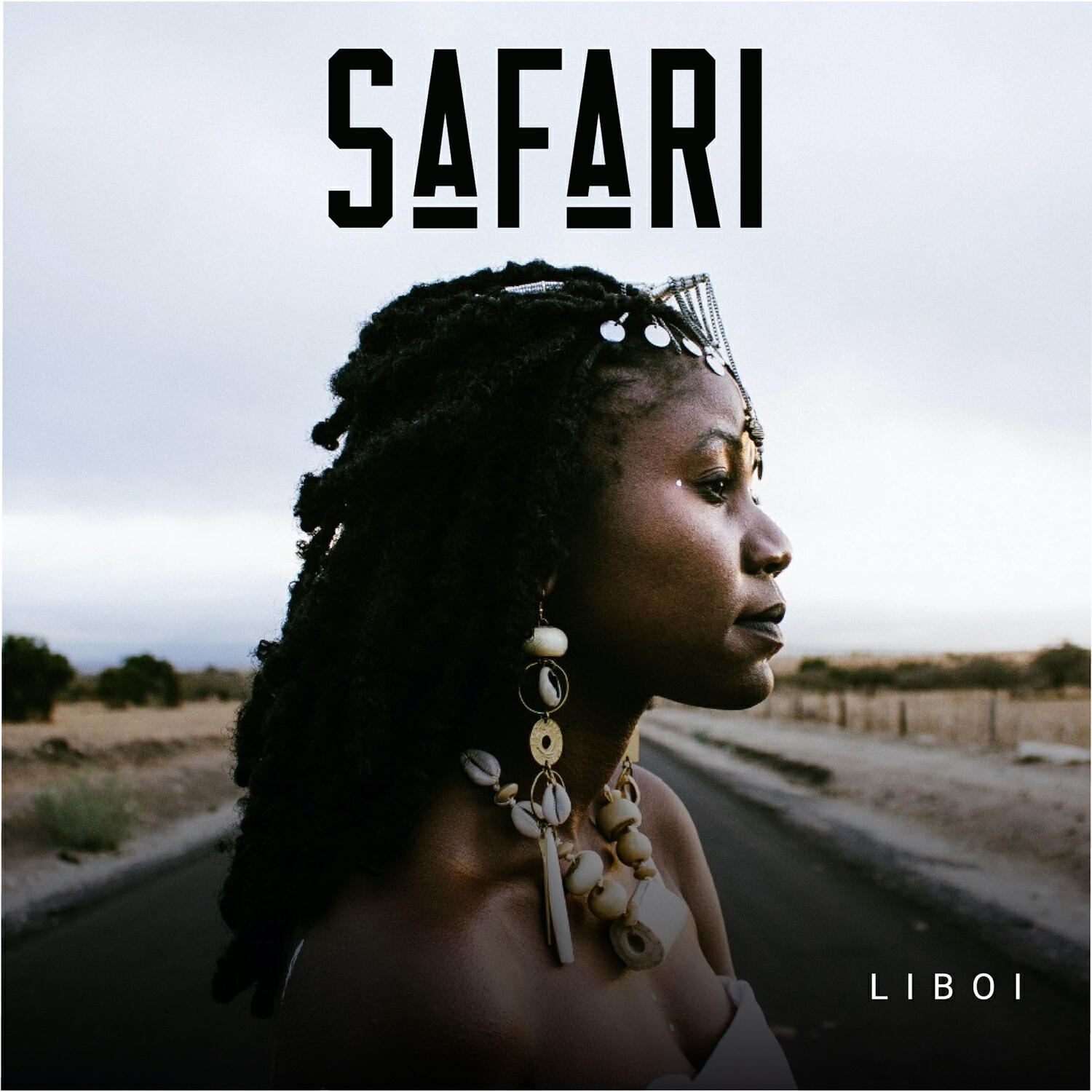 Релиз Safari