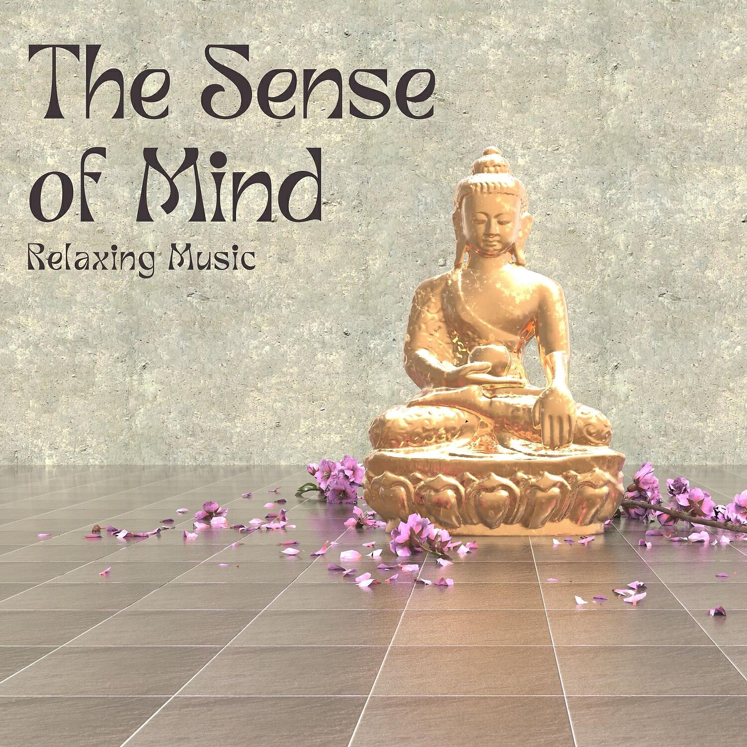 Релиз The Sense of Mind