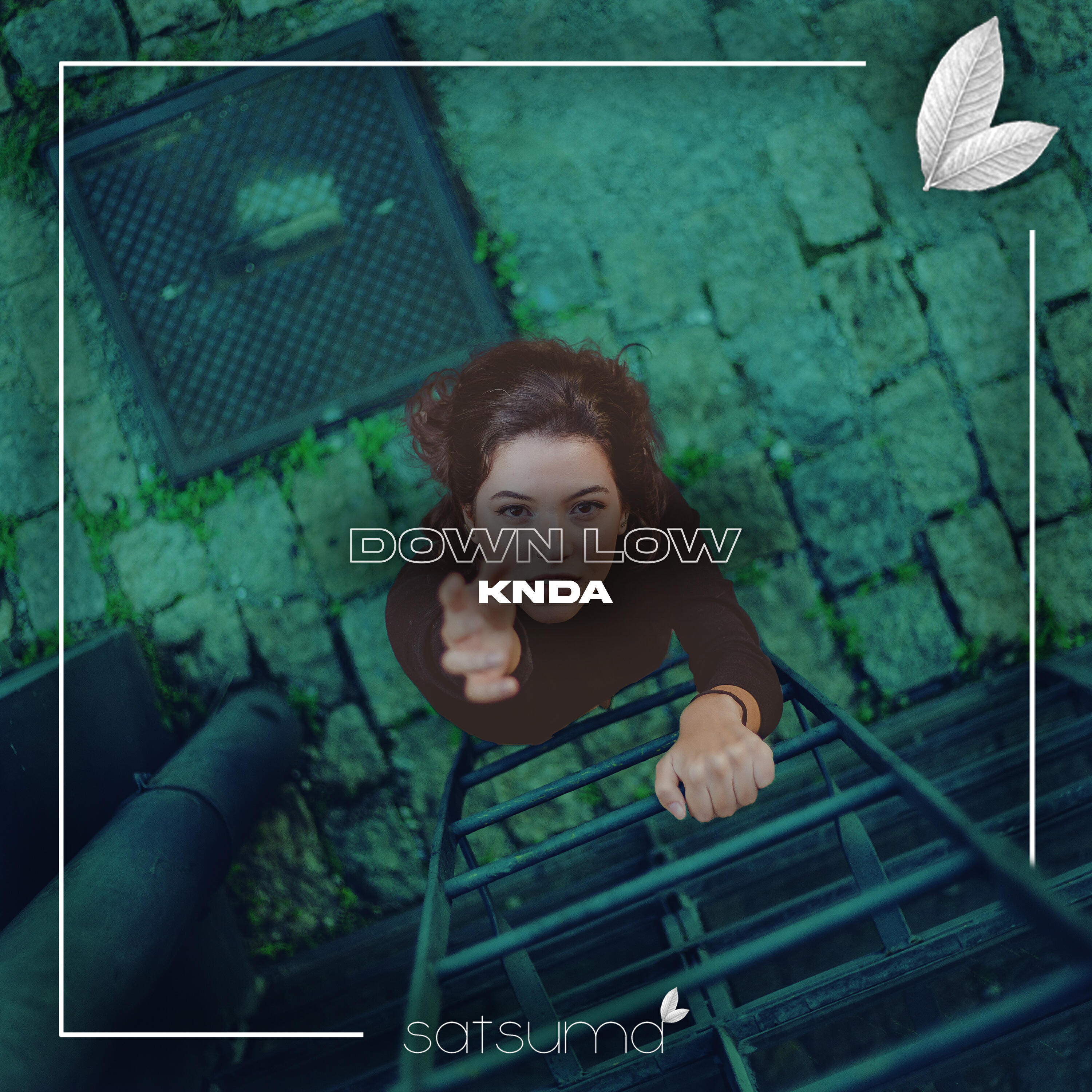 Релиз Down Low