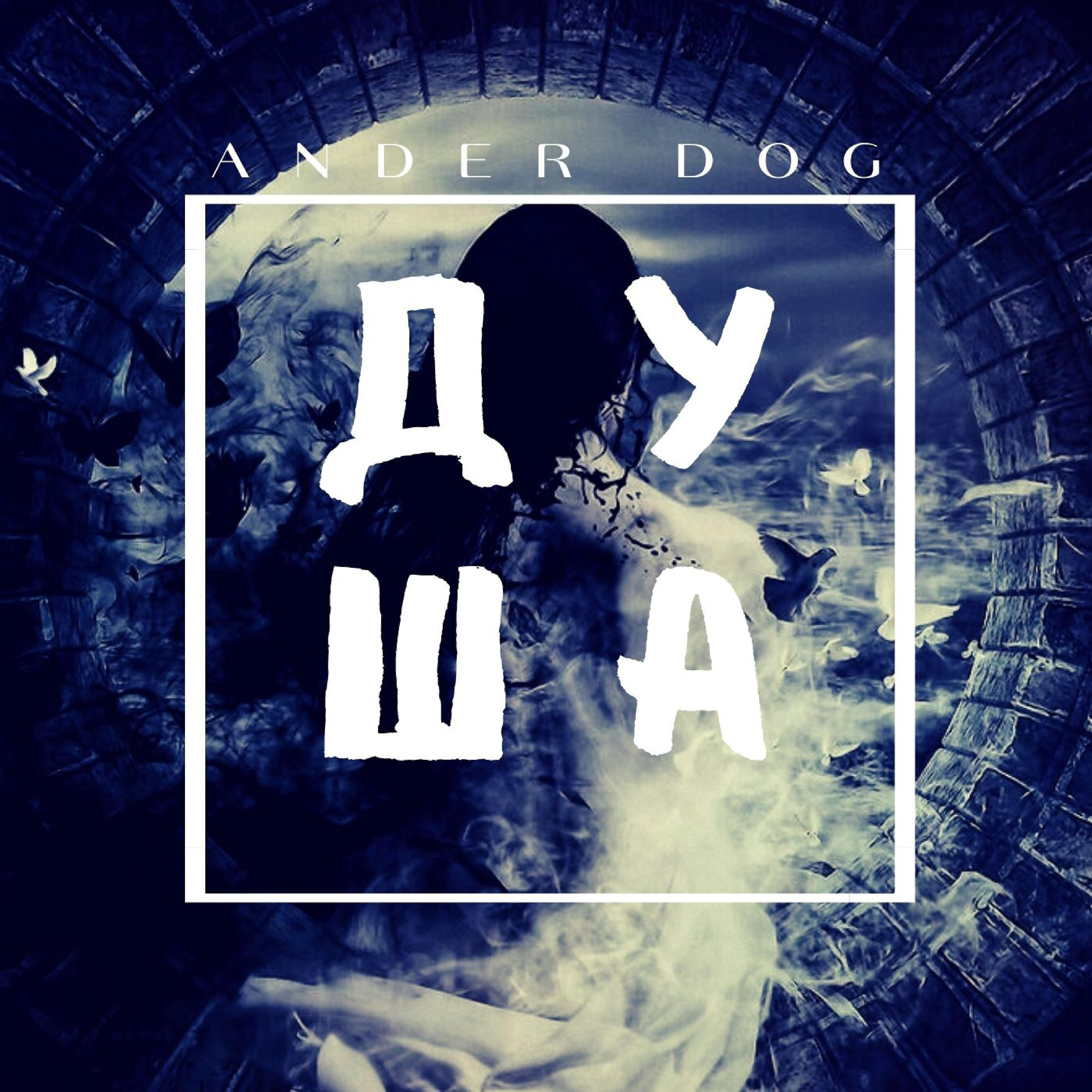 Релиз Душа