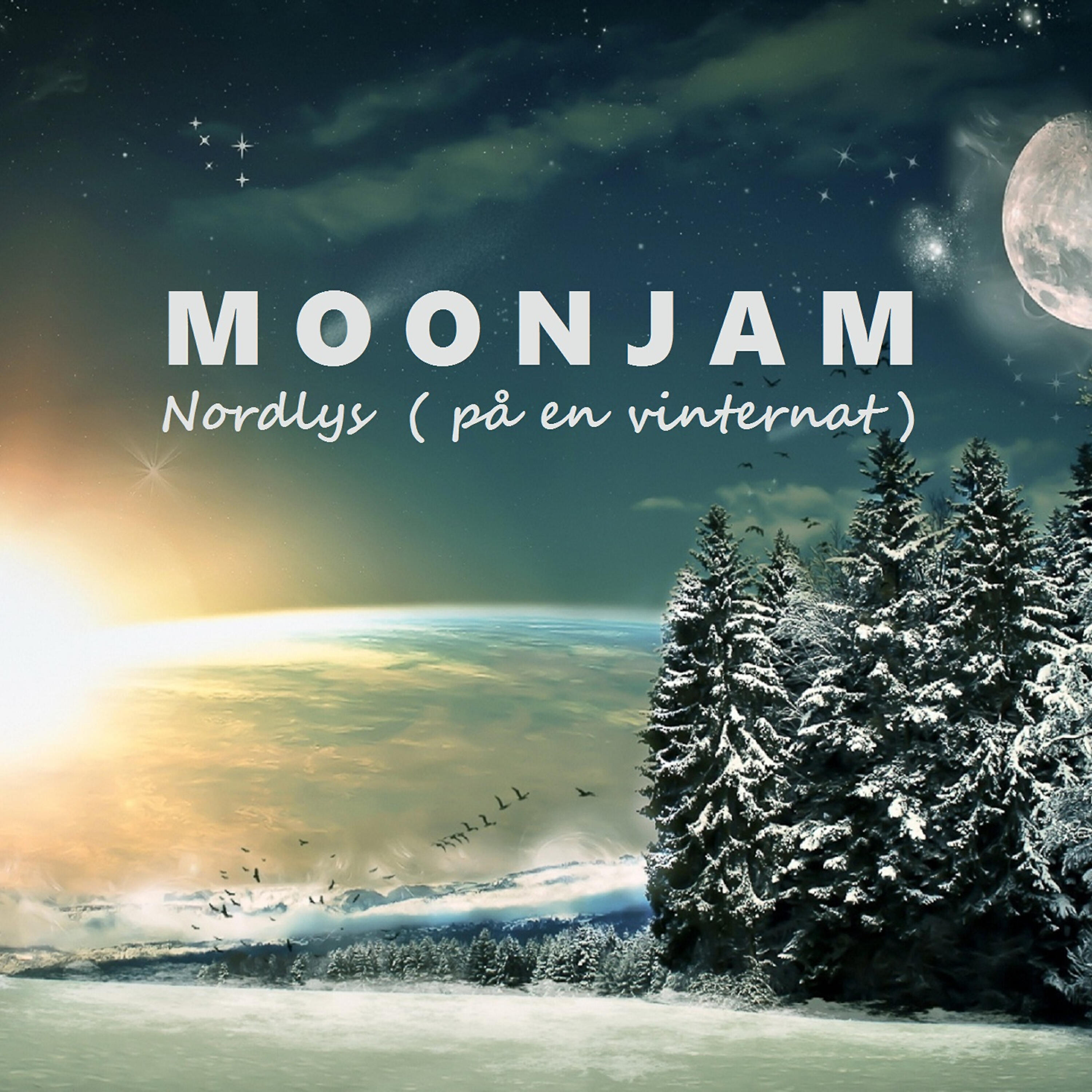 Релиз Nordlys (På En Vinternat)