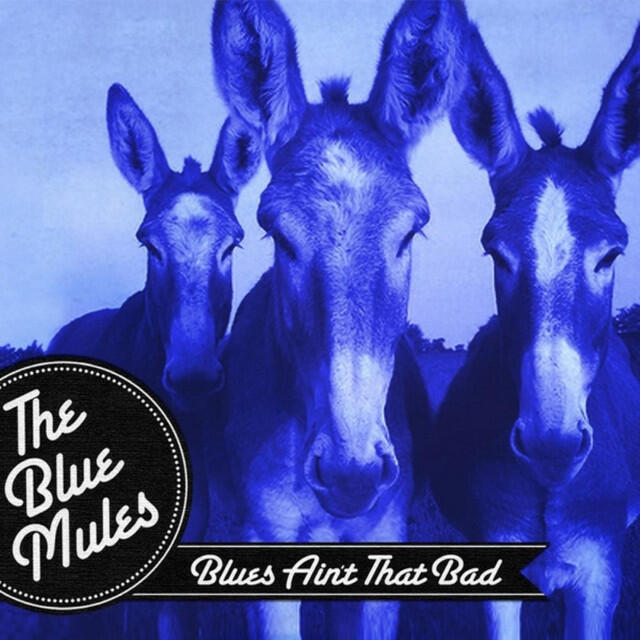 The Blue Mules