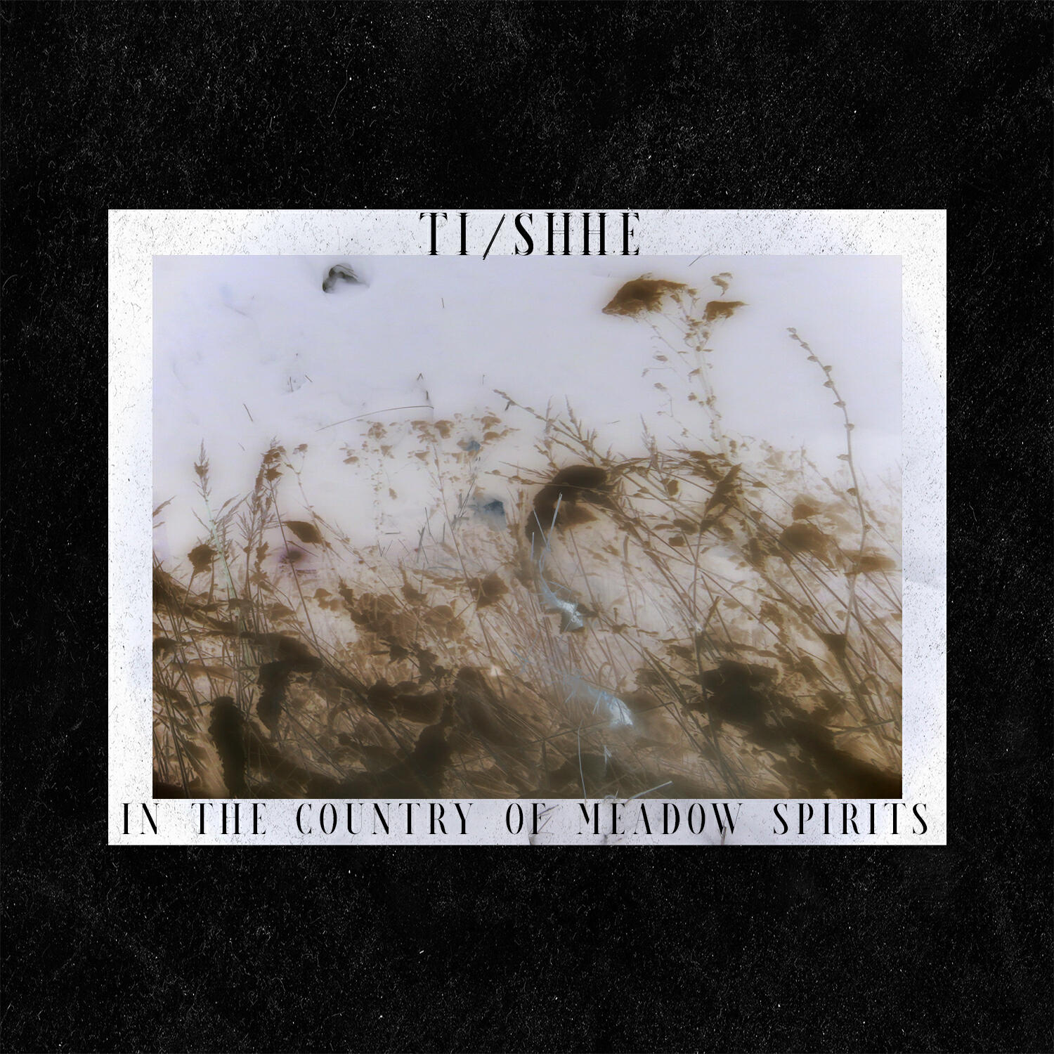 Релиз In the Country of Meadow Spirits