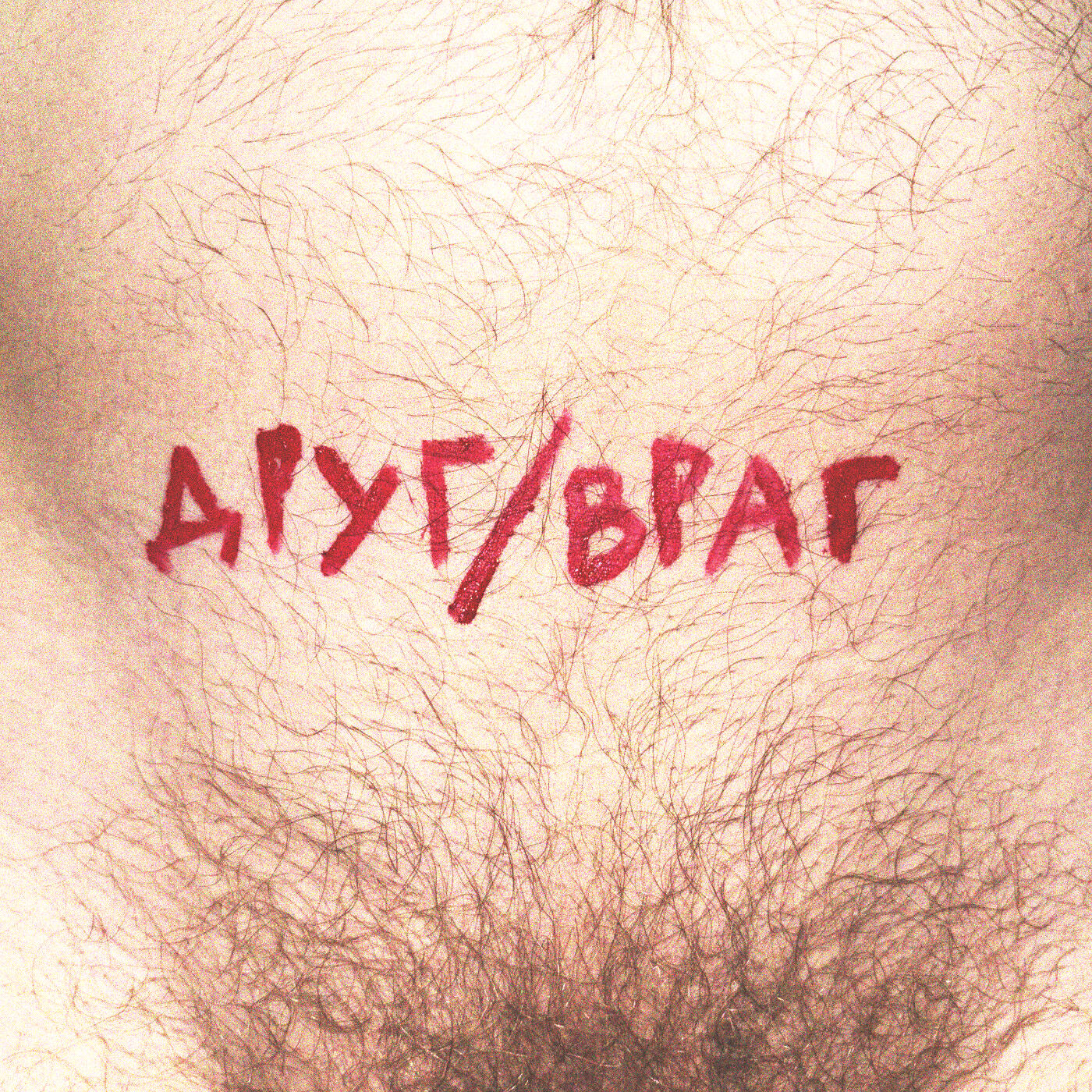 Постер альбома Друг/Враг