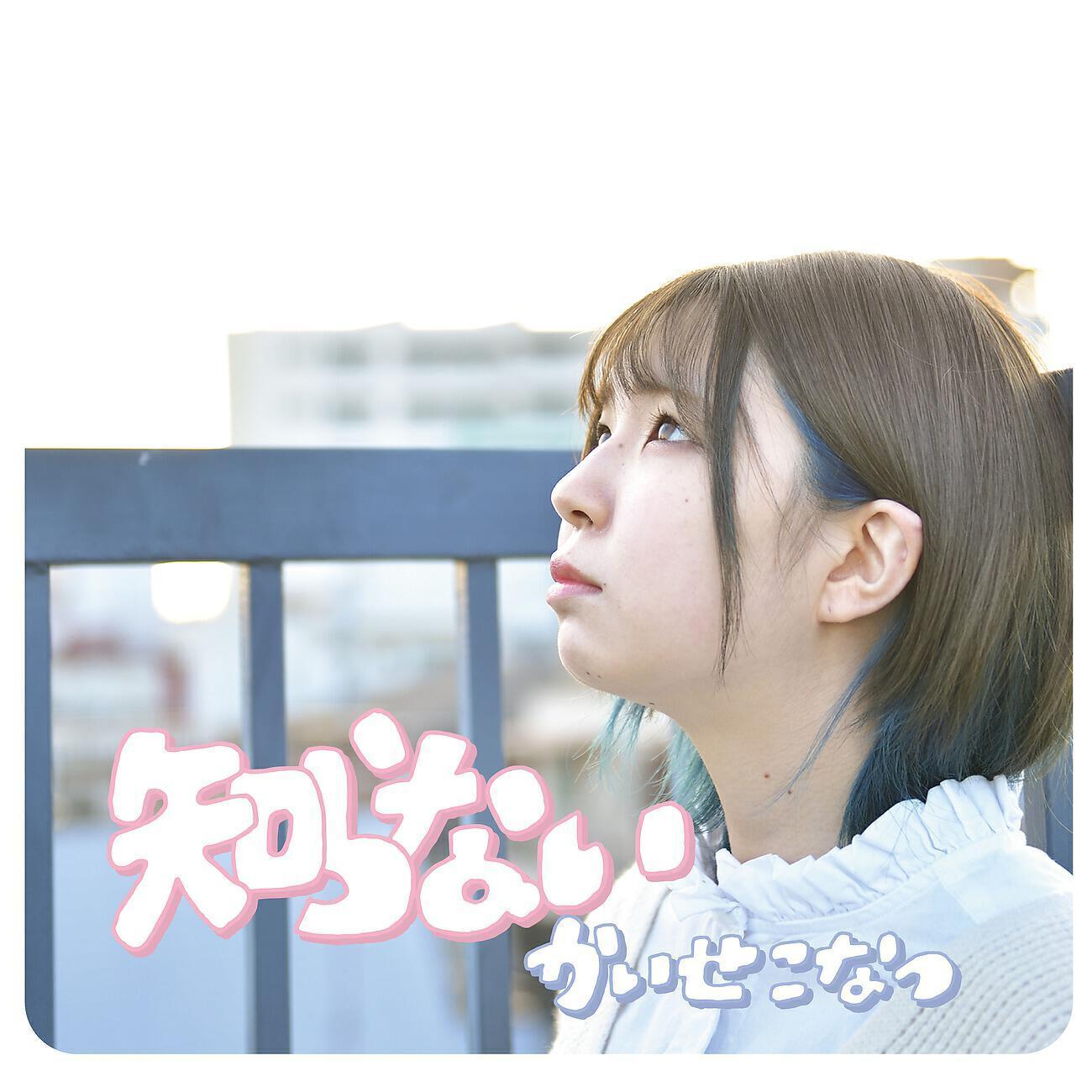 かいせこなつ