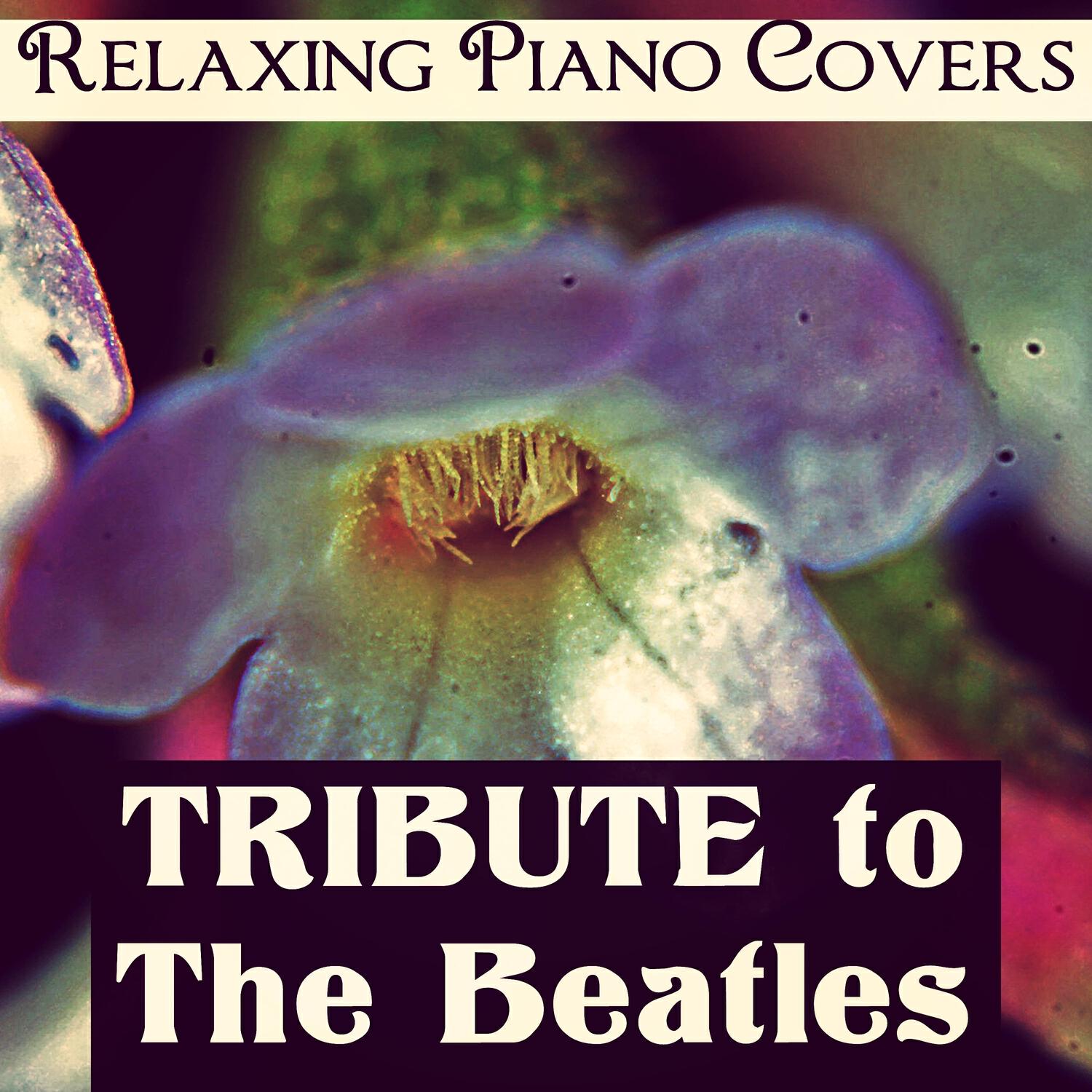 Релиз Tribute to The Beatles