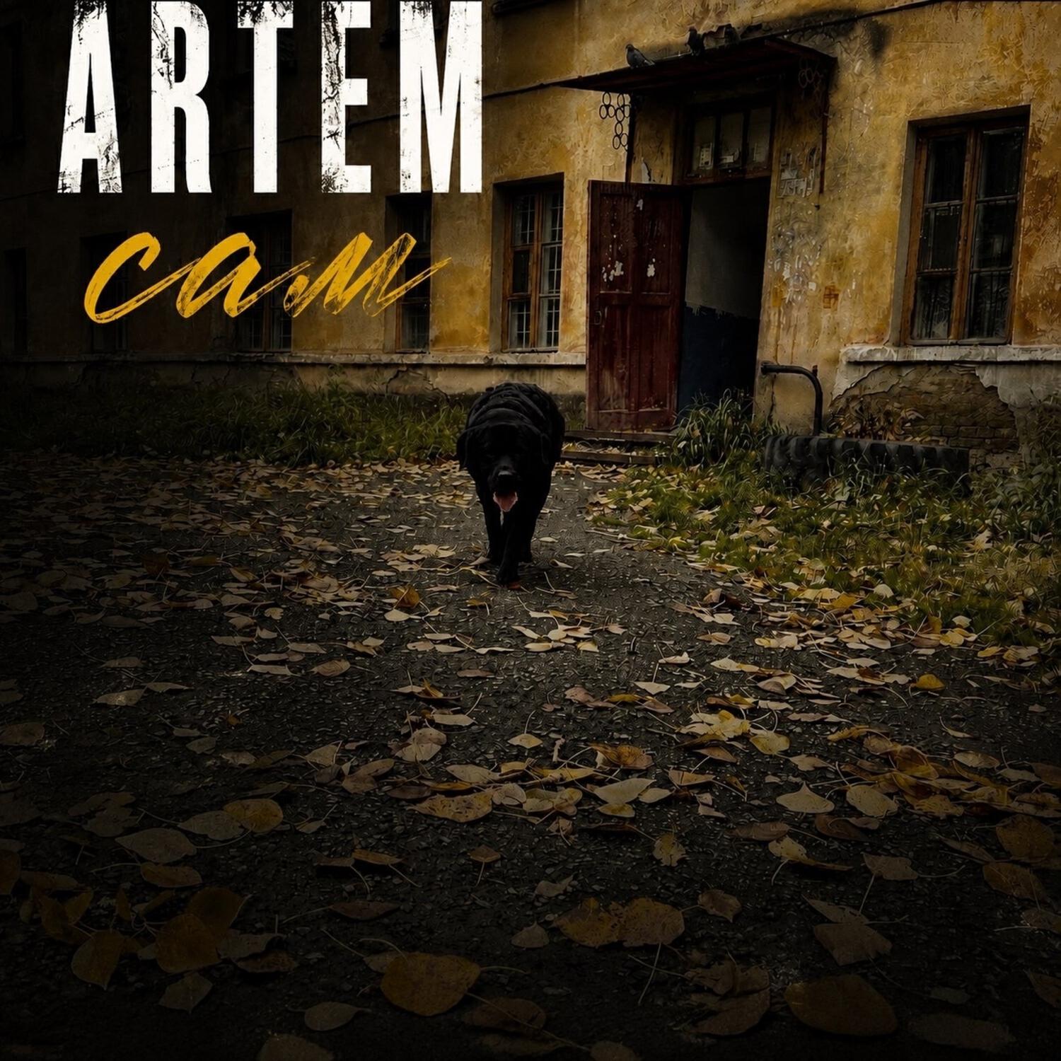 Релиз САМ