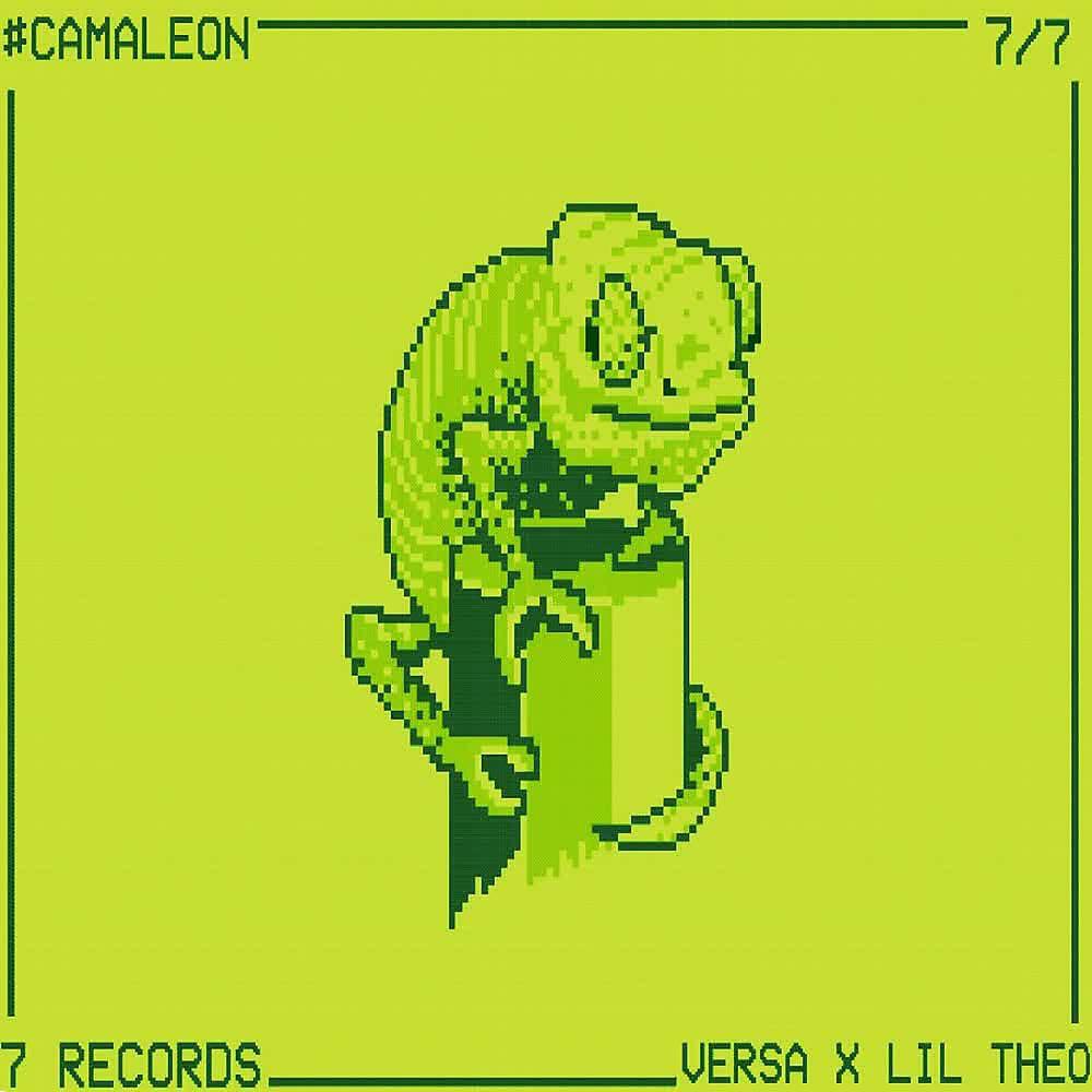 Релиз Camaleon