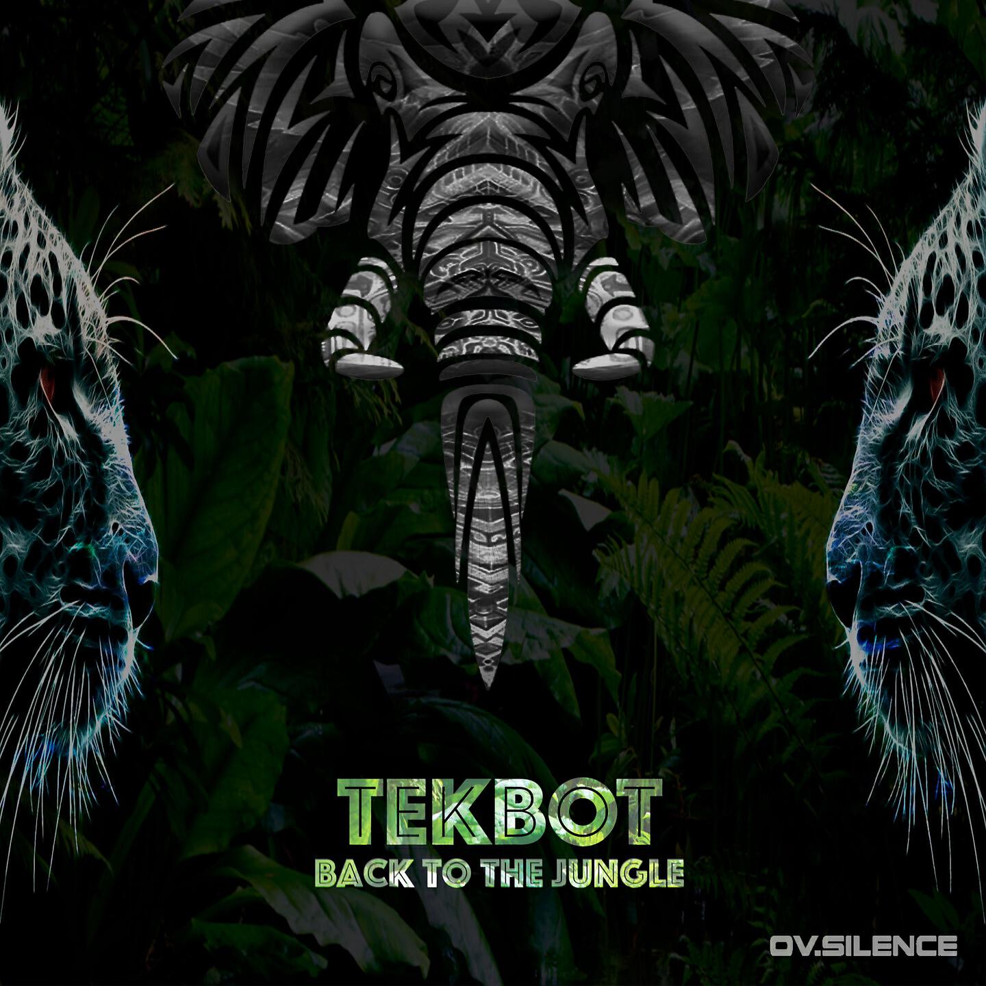 Релиз Back To the Jungle