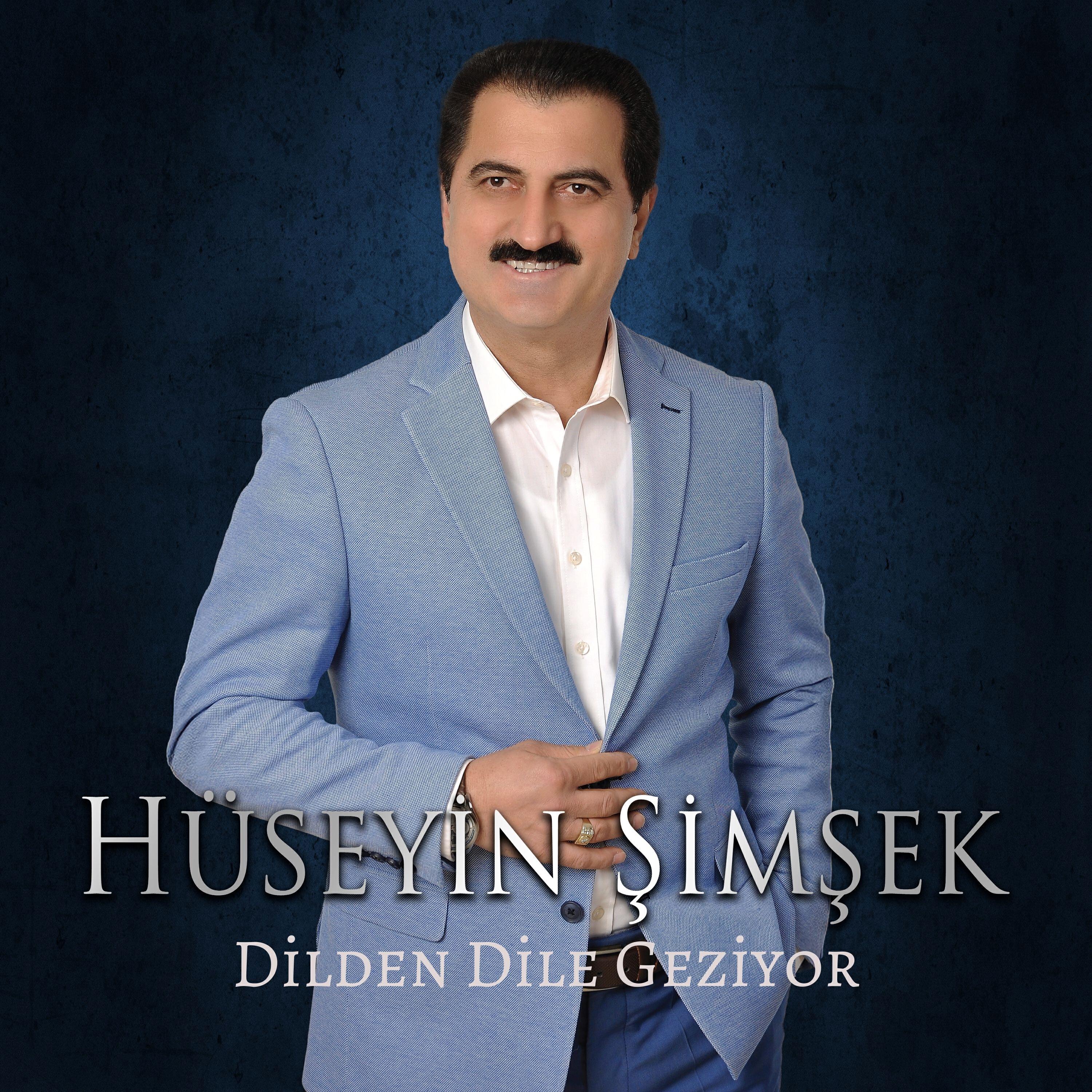 Релиз Dilden Dile Geziyor