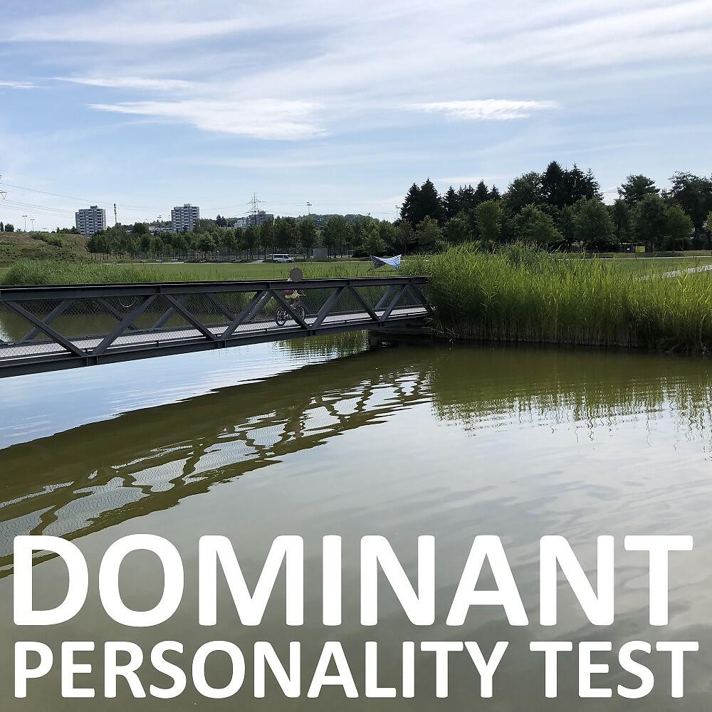 Релиз Dominant Personality Test