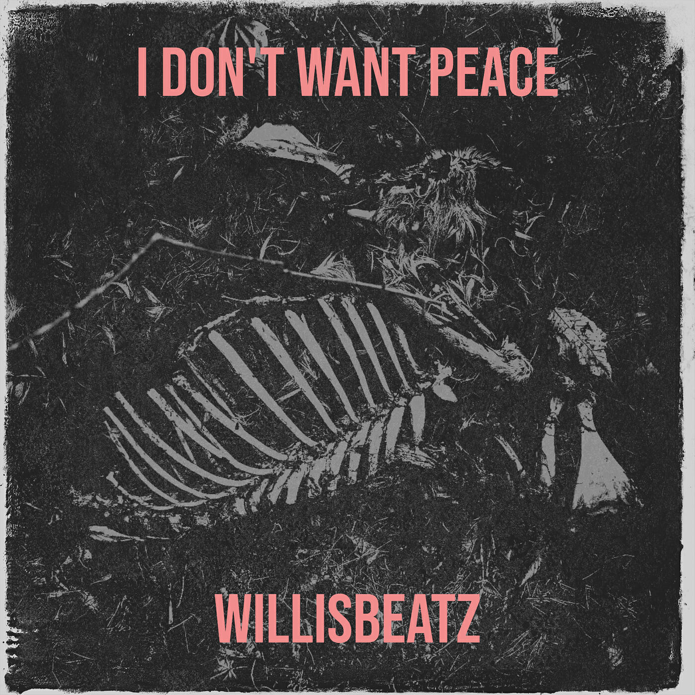 Релиз I Don't Want Peace