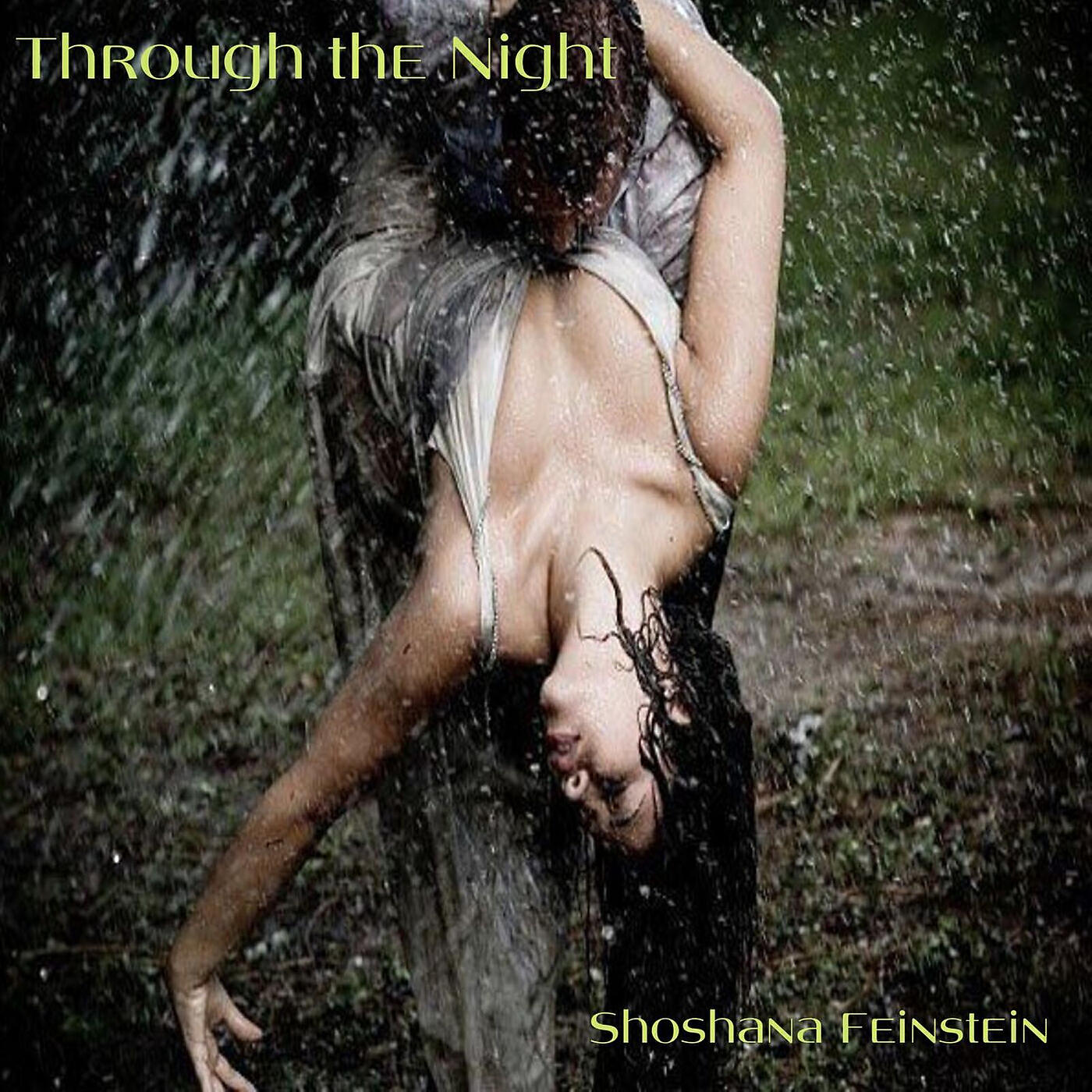 Релиз Through the Night