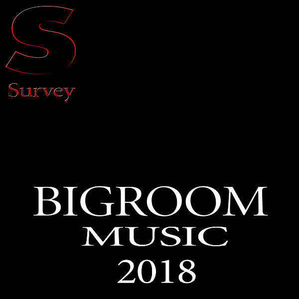 Релиз BIGROOM MUSIC ,  2018