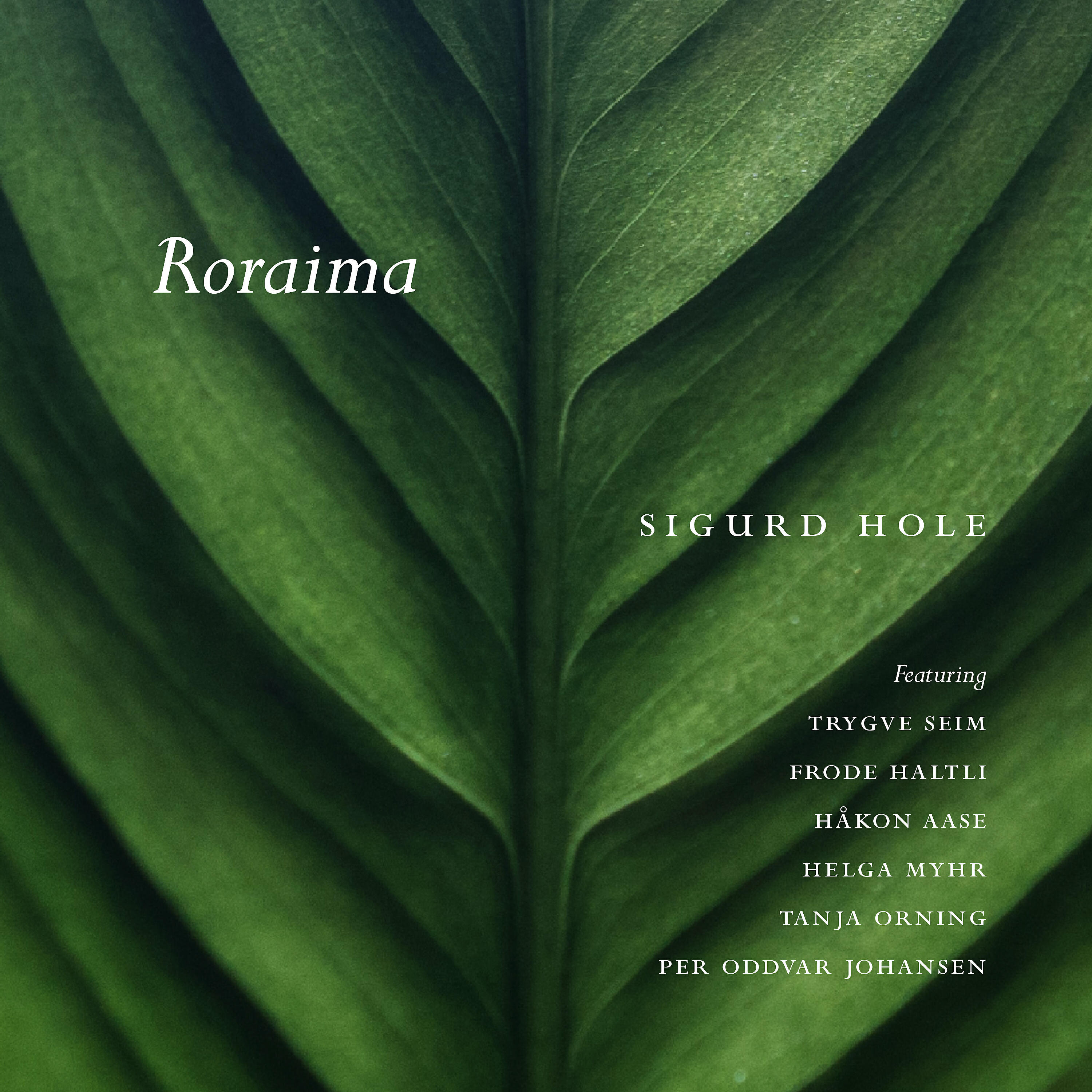 Релиз Roraima