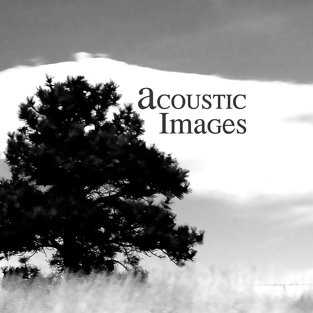 Релиз Acoustic Images