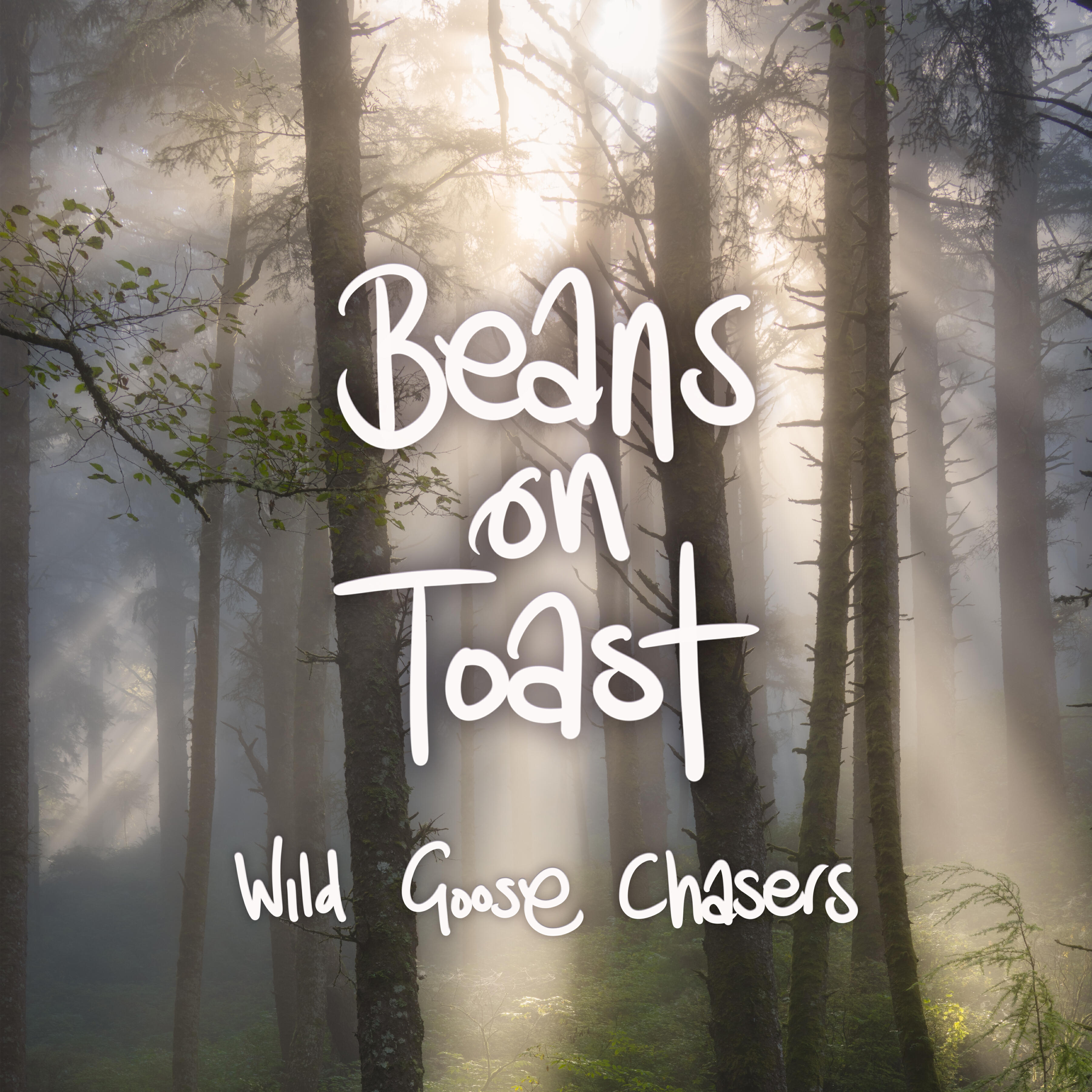 Релиз Wild Goose Chasers