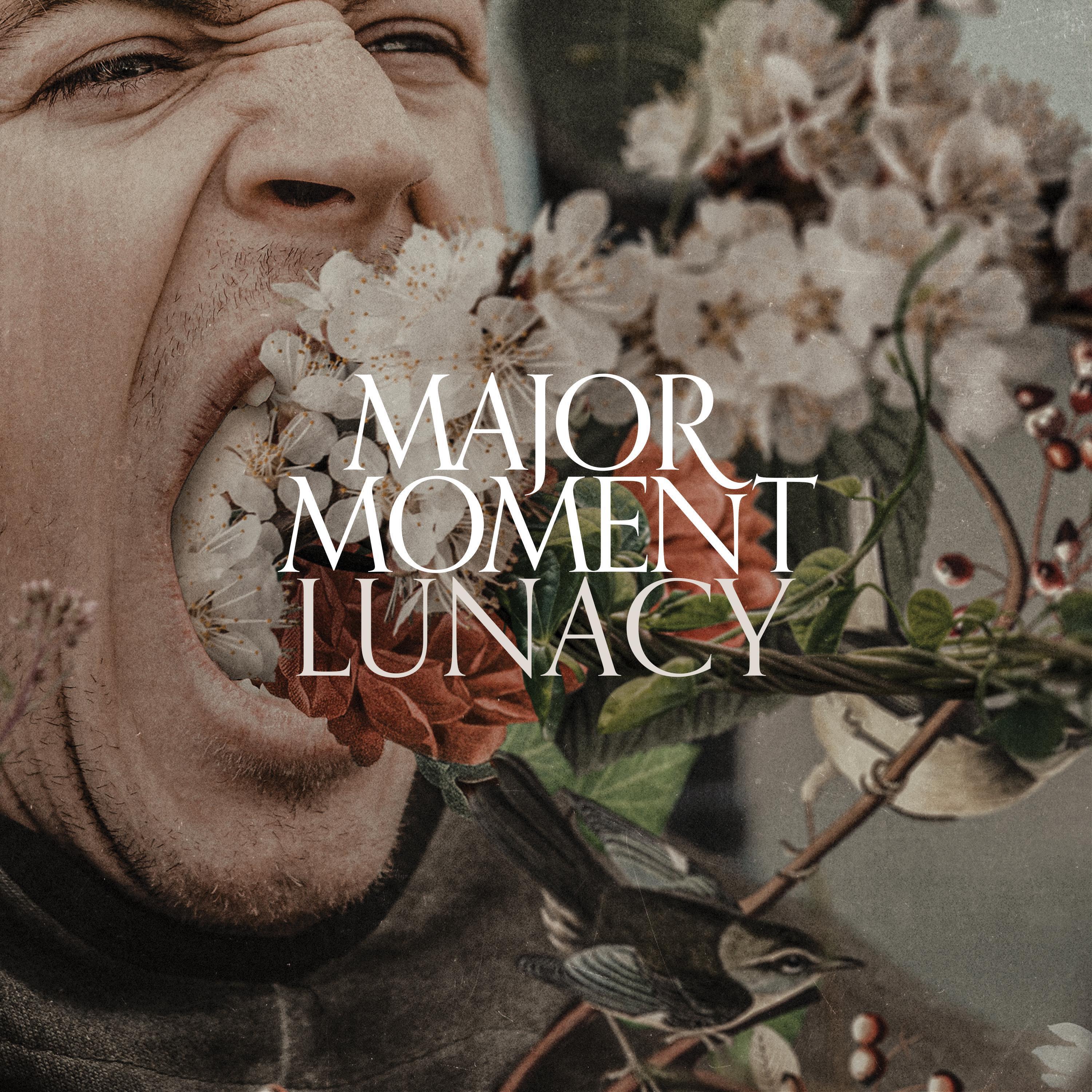 Релиз Lunacy