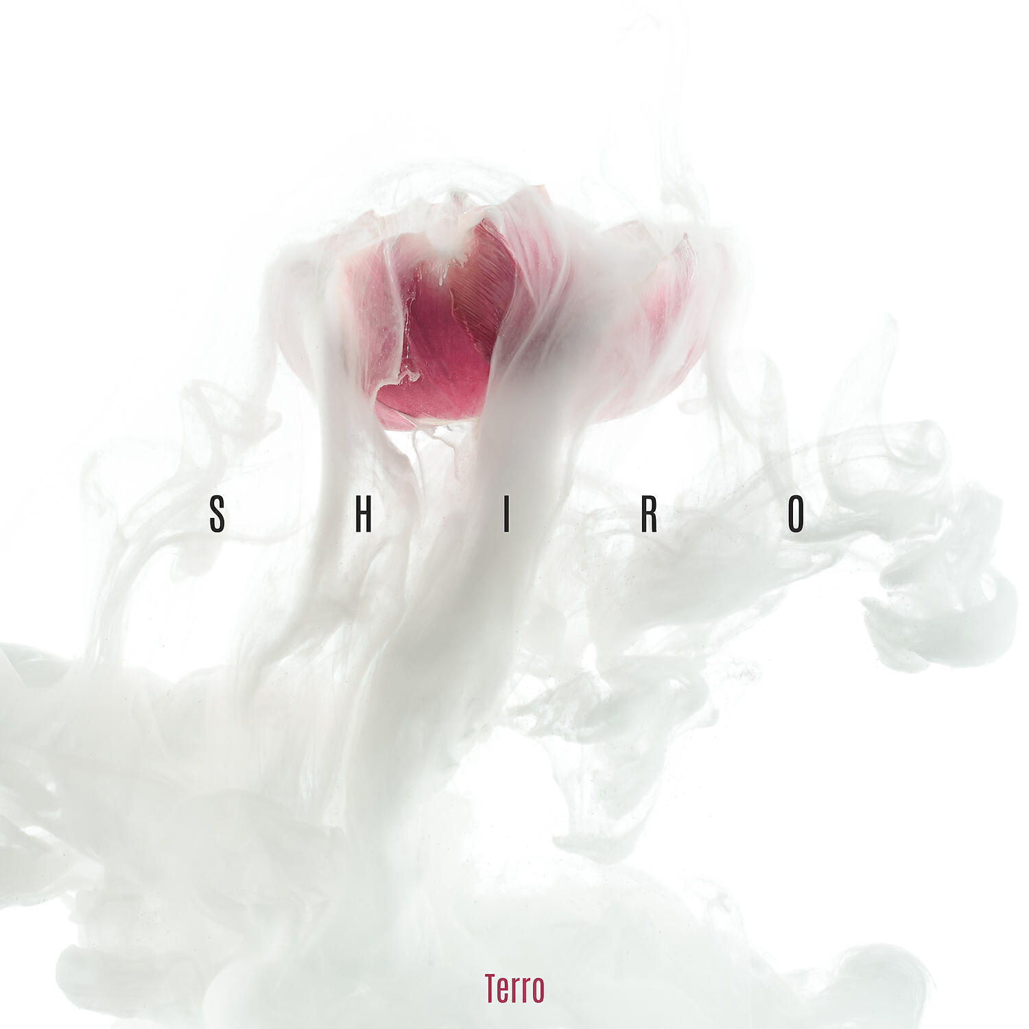 Релиз Shiro