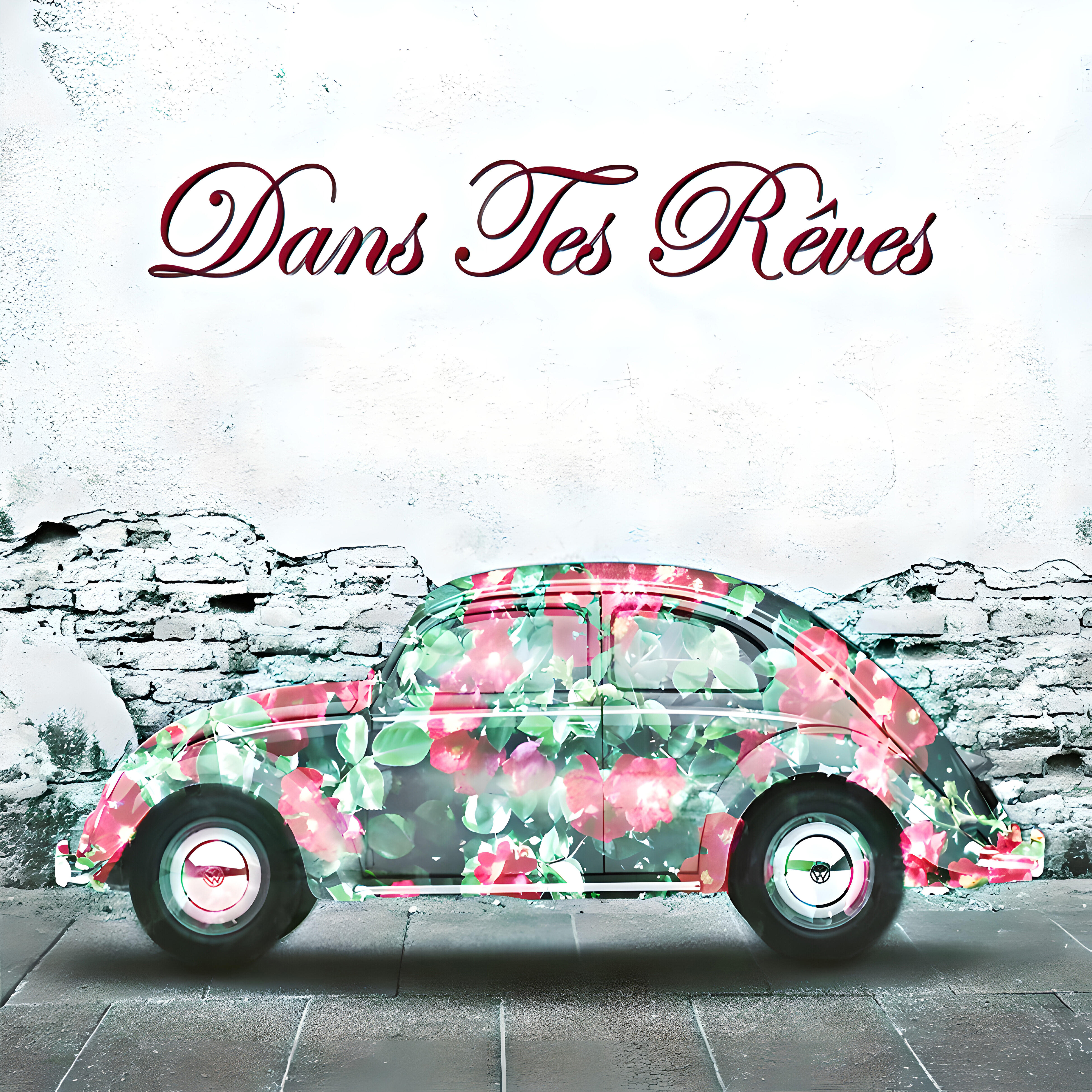 Постер альбома Dans Tes Rêves